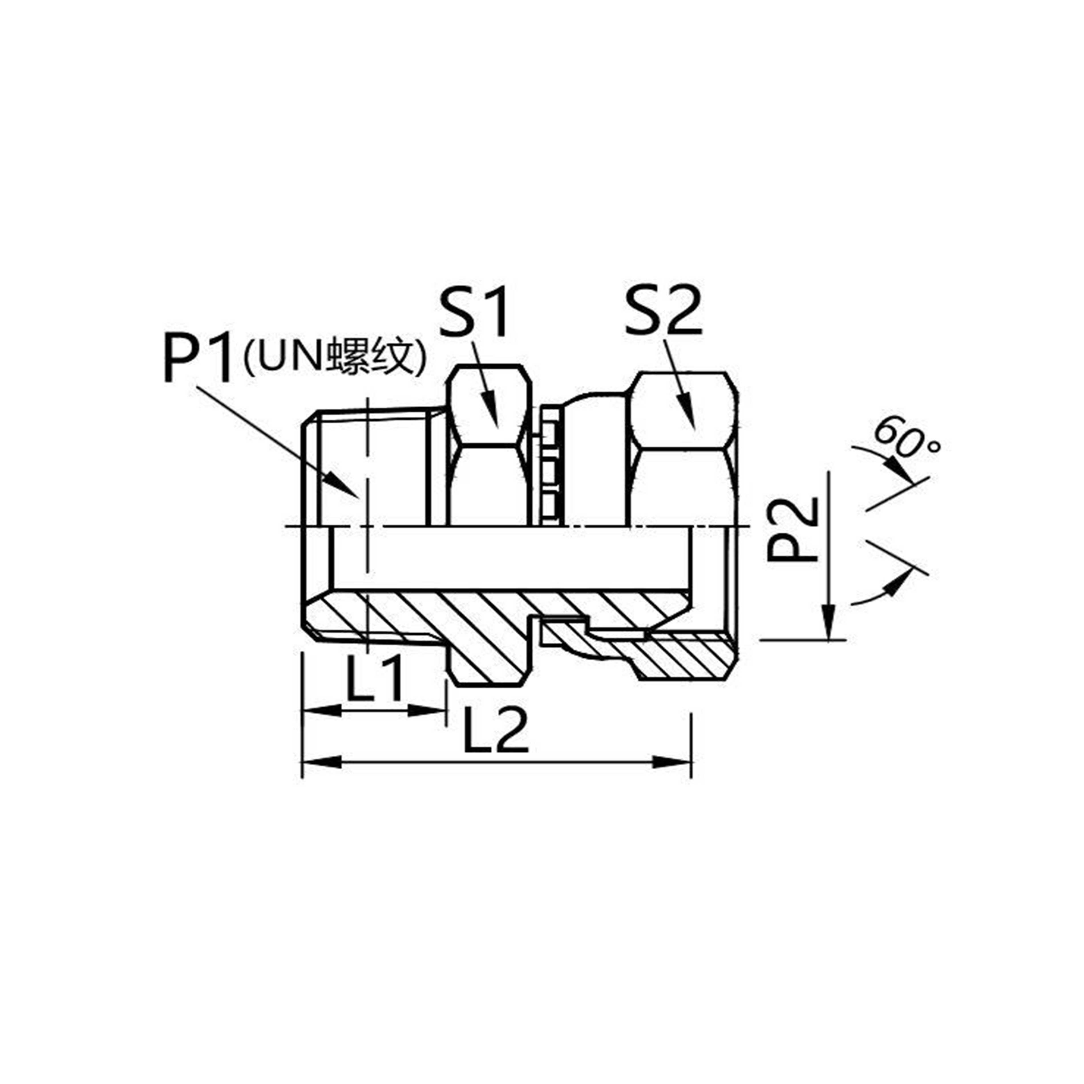 2NB  Tapered pipe external thread /British pipe internal thread 60° external cone connector
