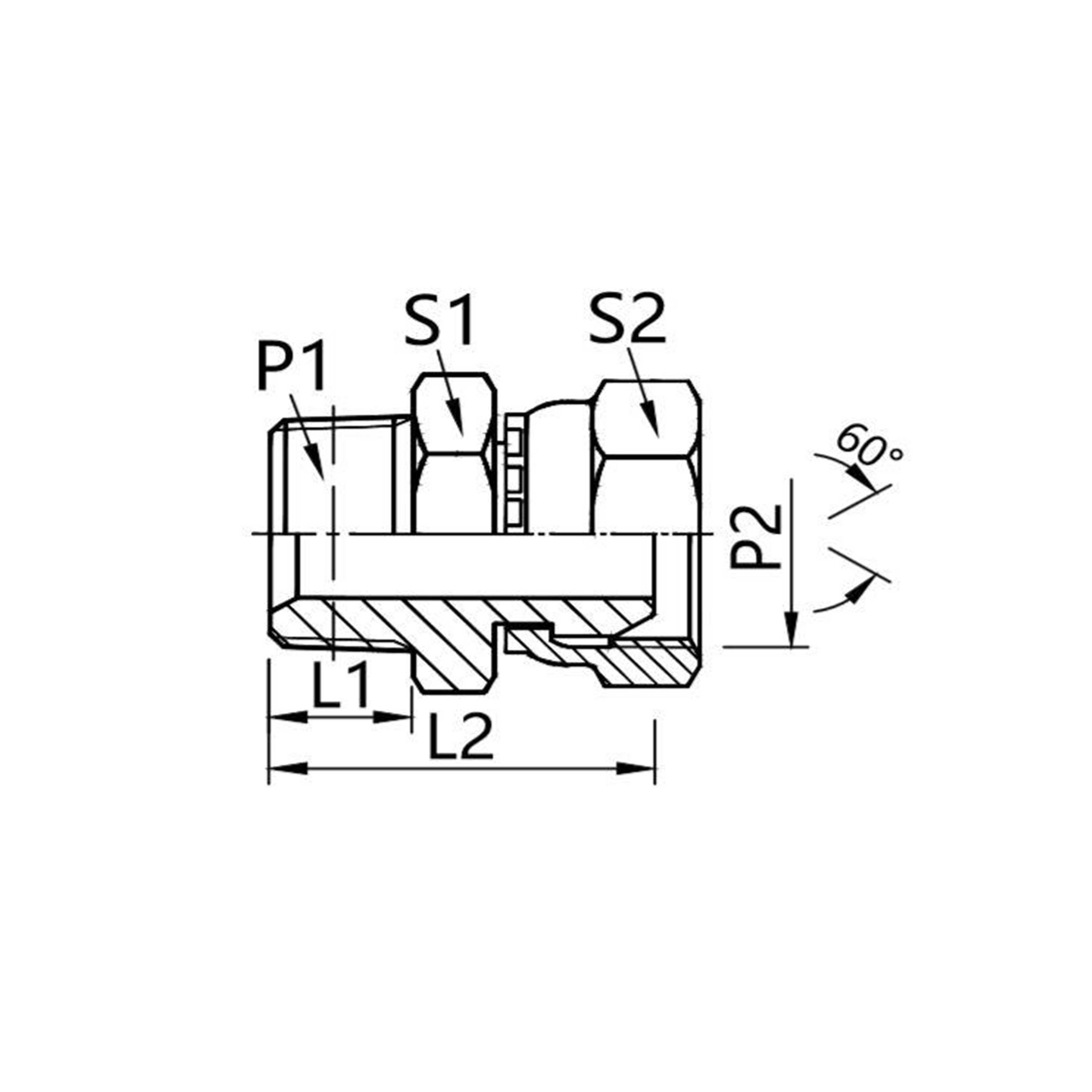 2TB-SP British pipe external thread British pipe internal thread 60°external cone connector