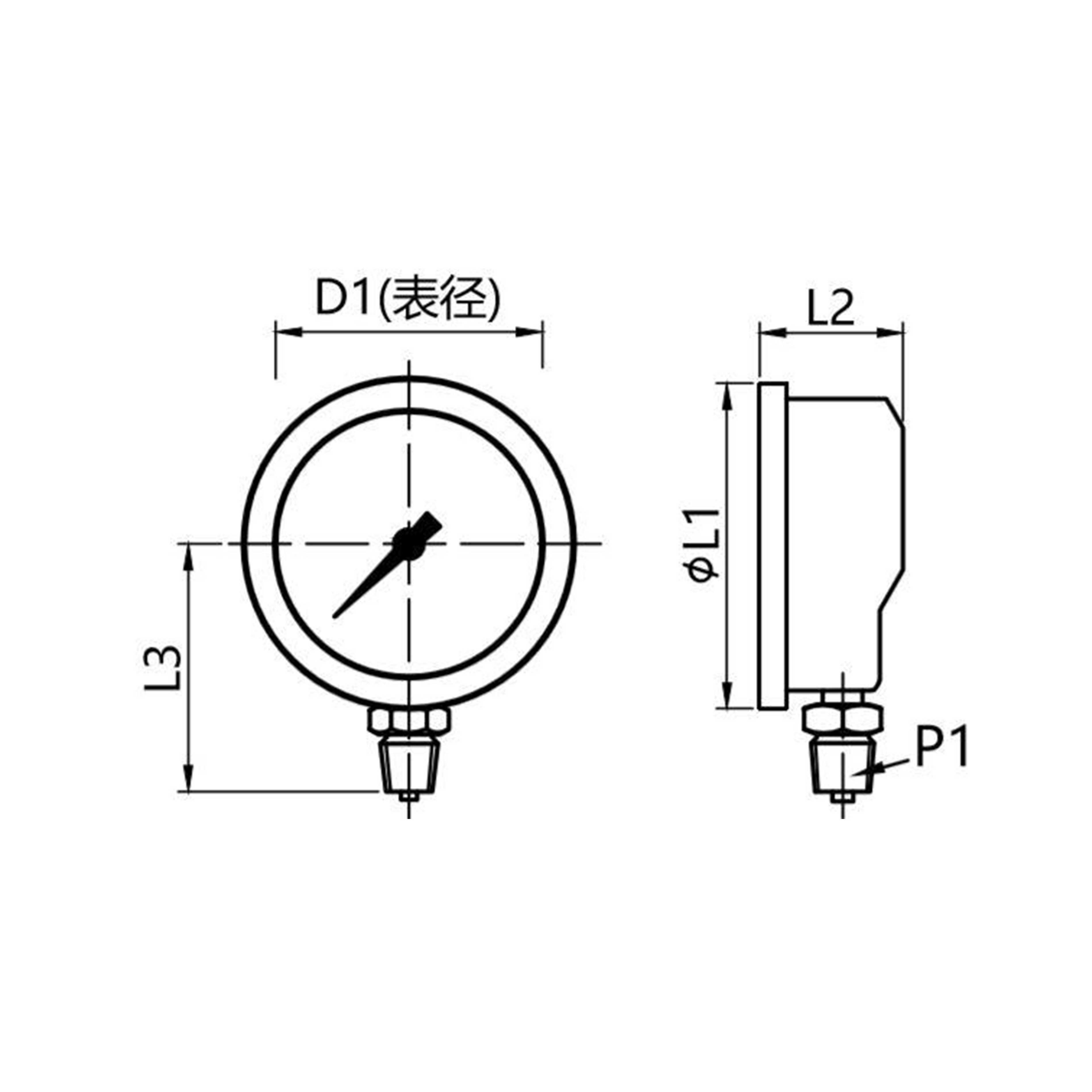 YN-1  Radial Pressure Gauge