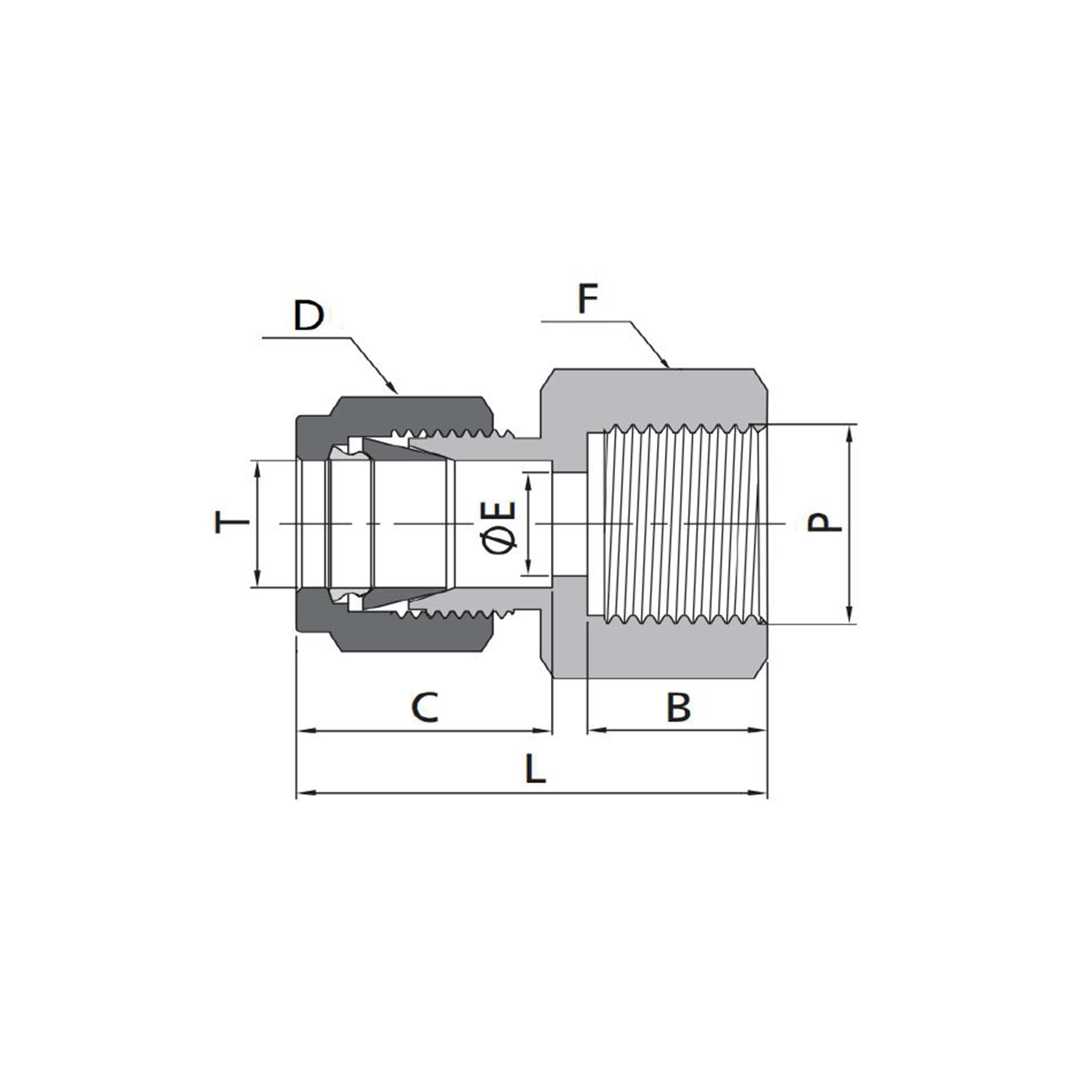 Female Connectors(Fractional Tube to Metric Thread)
