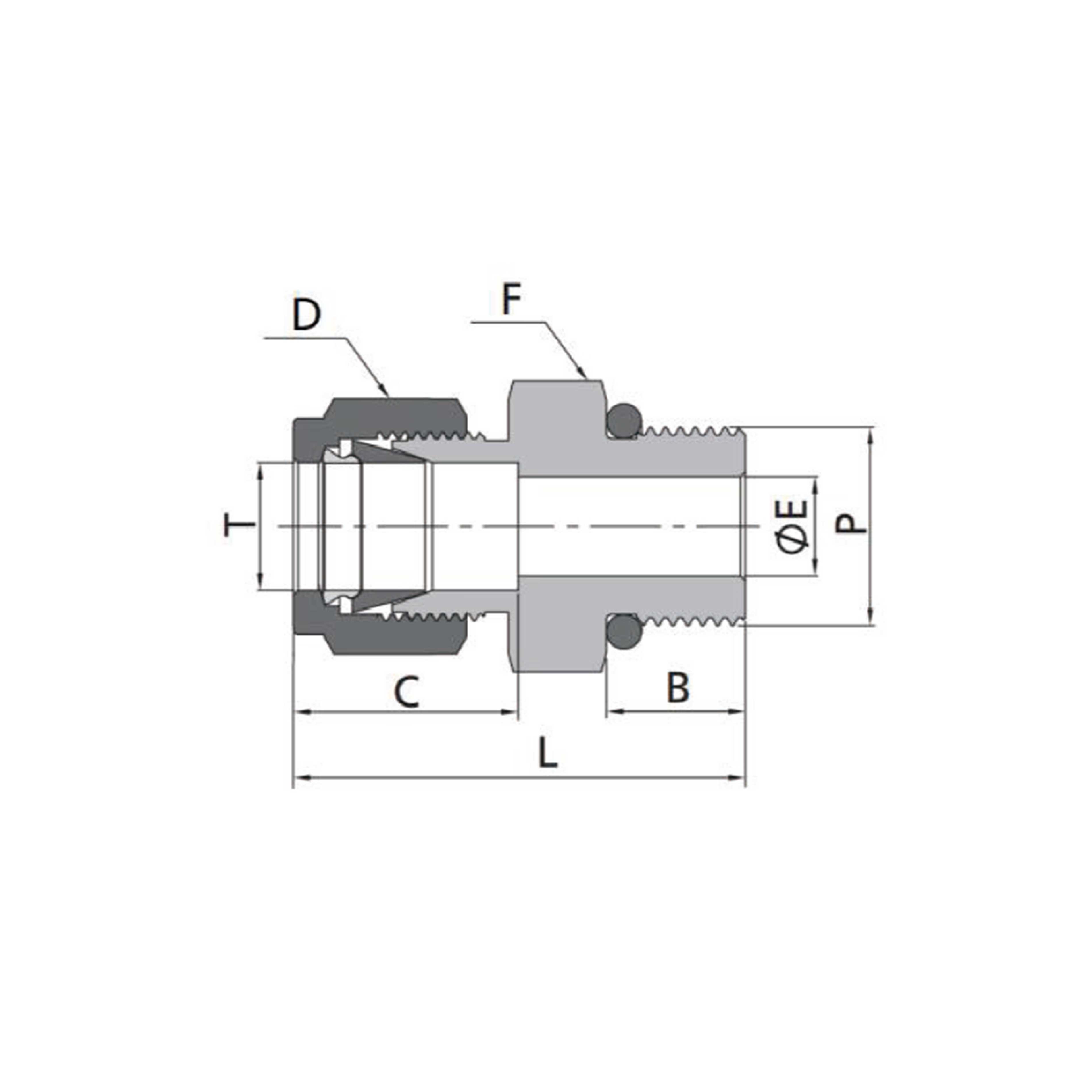 Male Connectors(Fractional Tube to SAE/MS Thread)