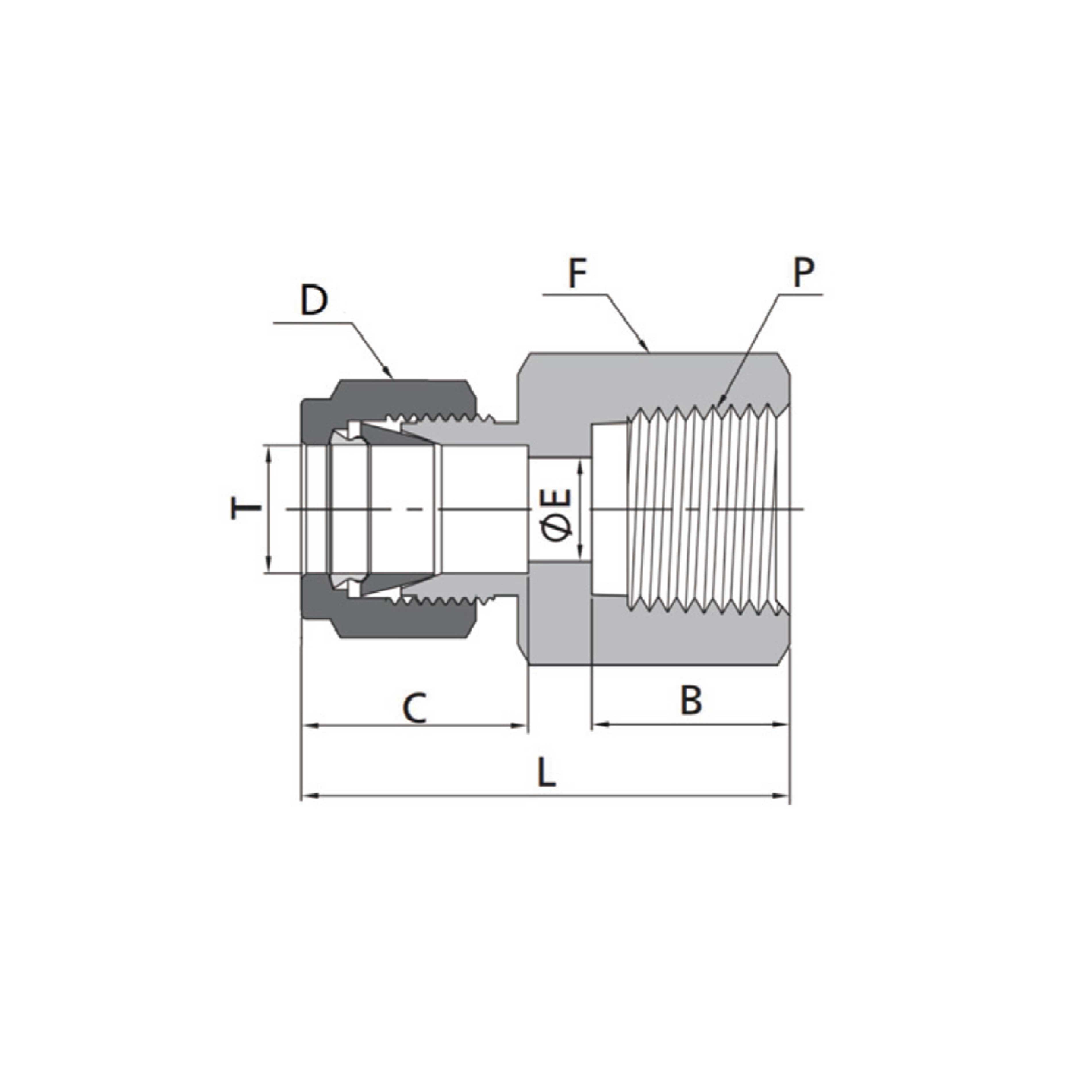 Female Connectors(Fractional Tube to NPT/RT Thread)