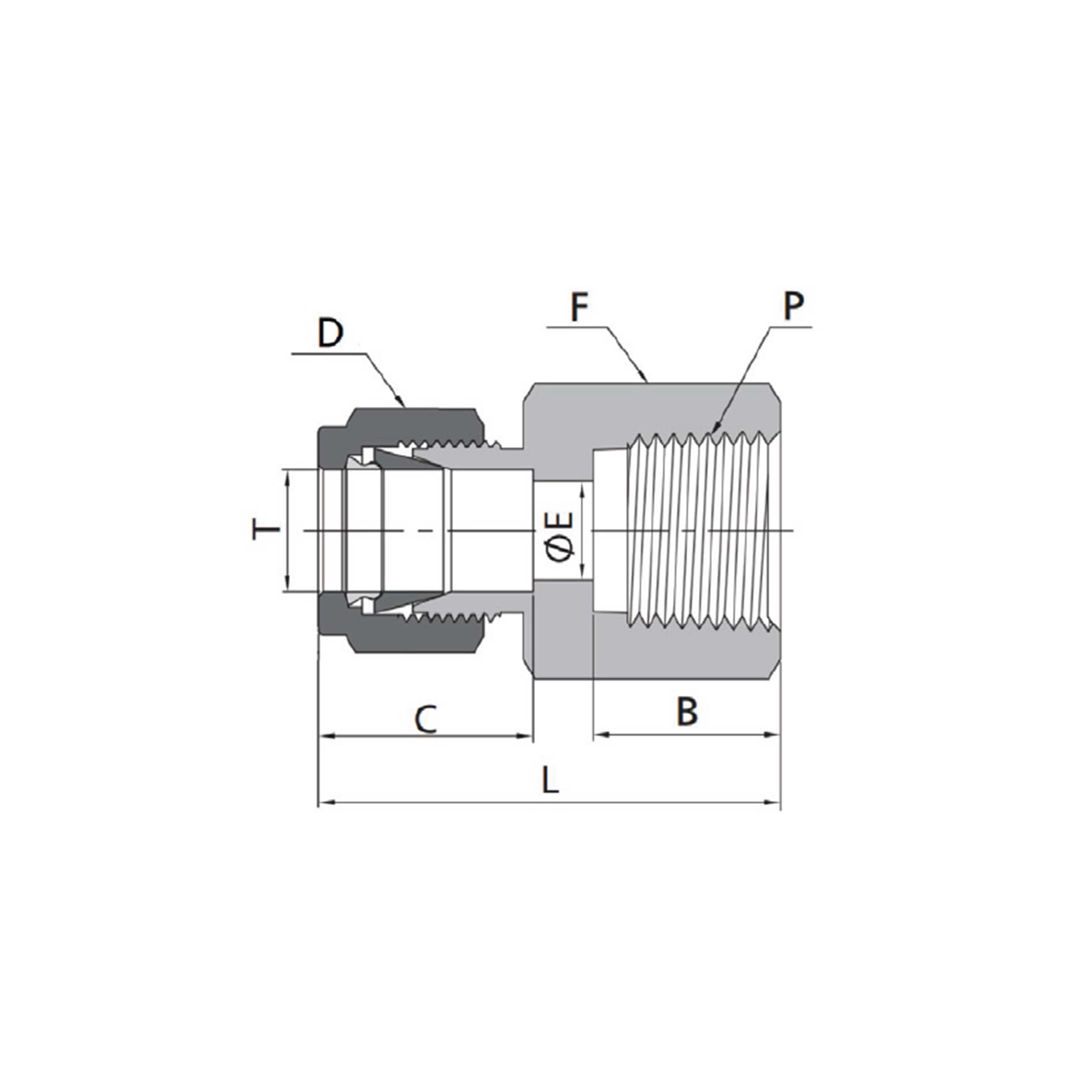 Female Connectors(Metric Tube to NPT Thread)