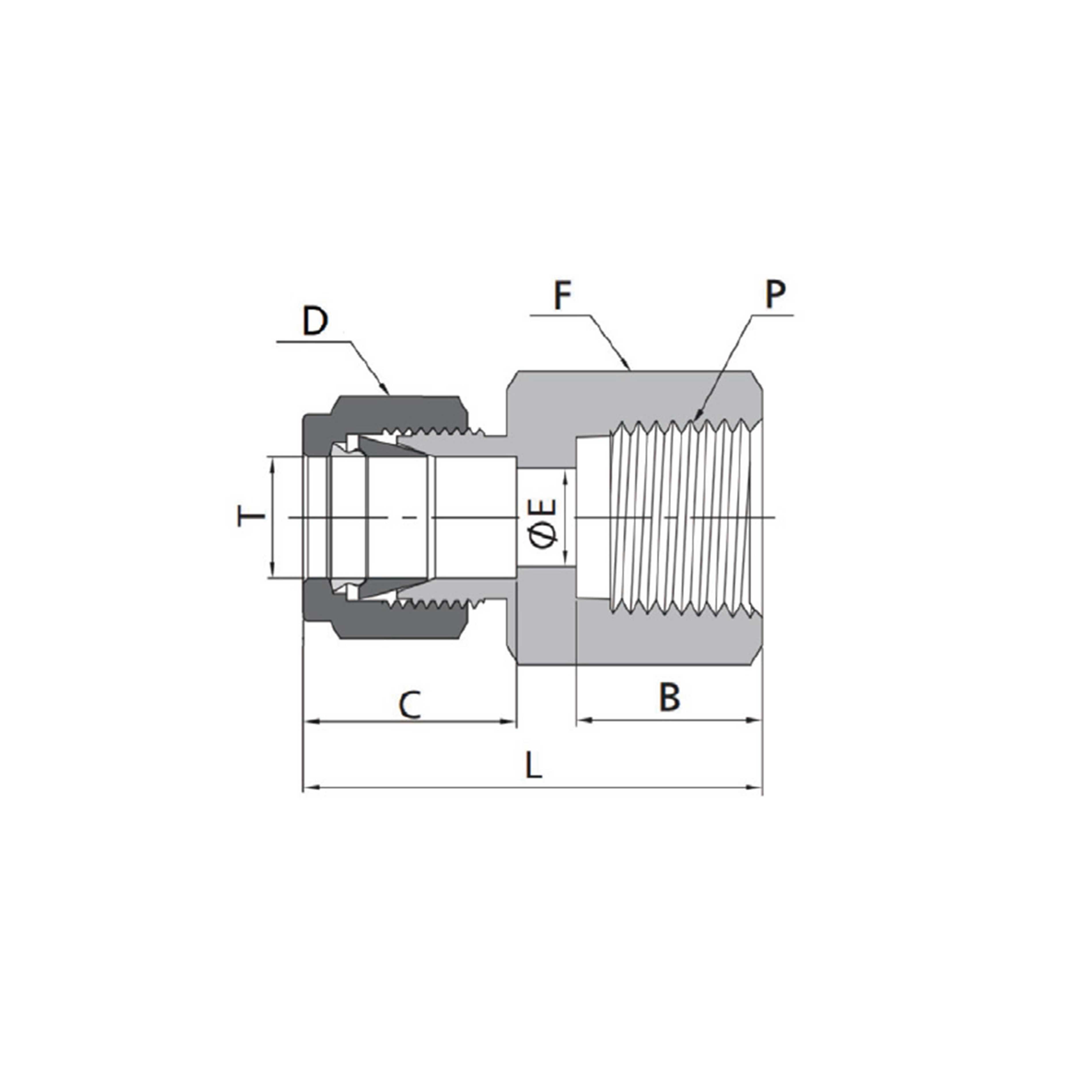 Female Connectors(Metric Tube to RT Thread)