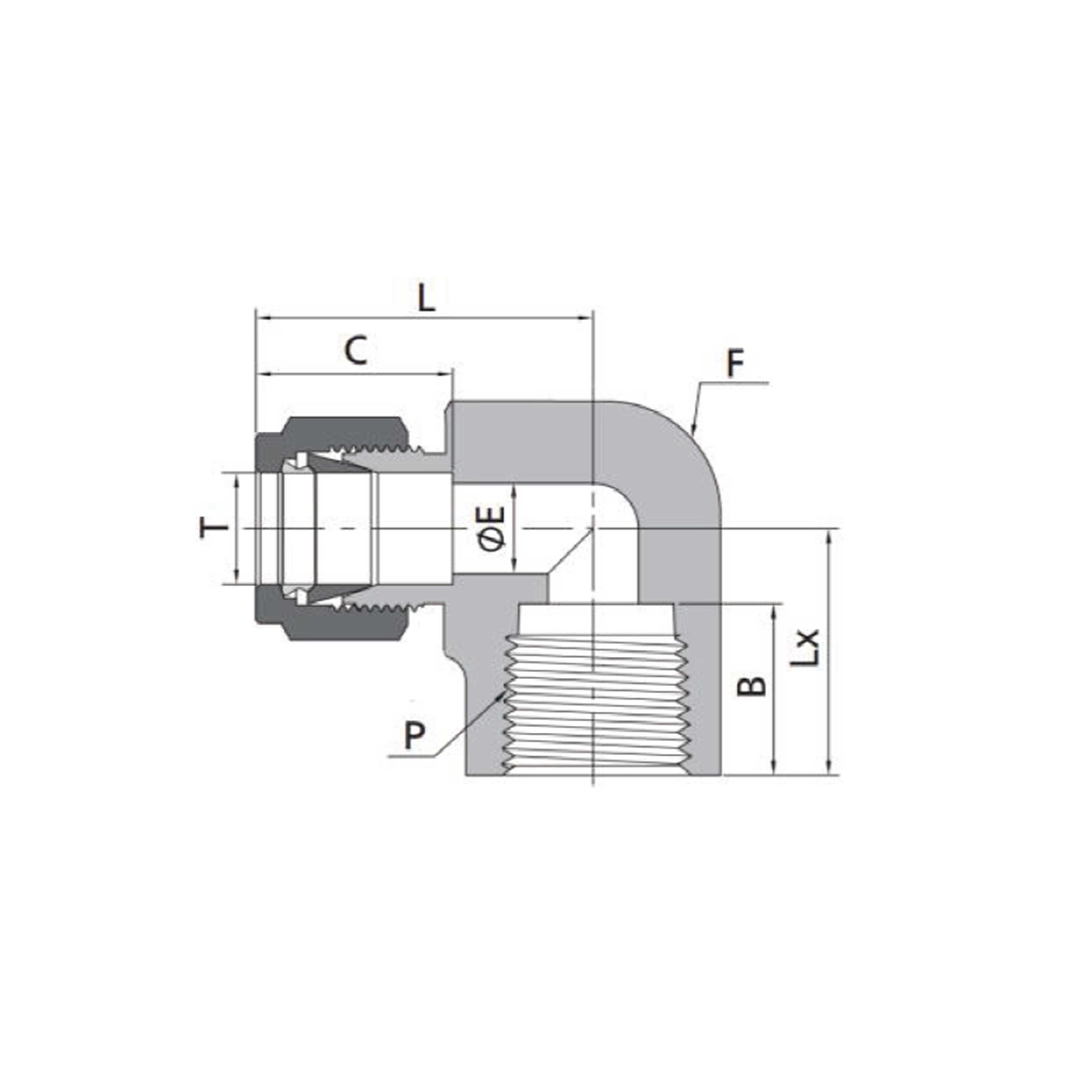 Female Elbows