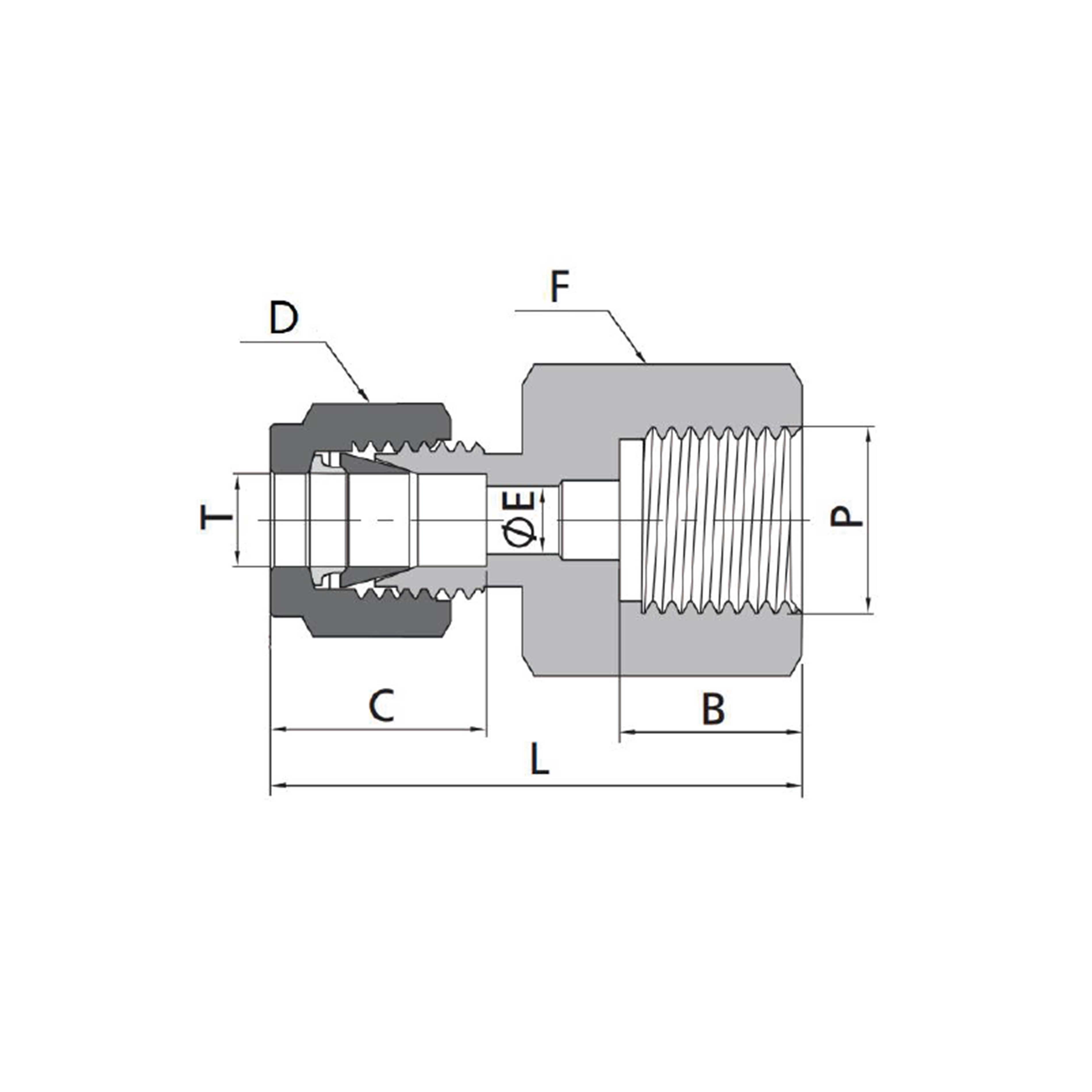Female Connectors(Metric Tube to ISO Parallel Thread)