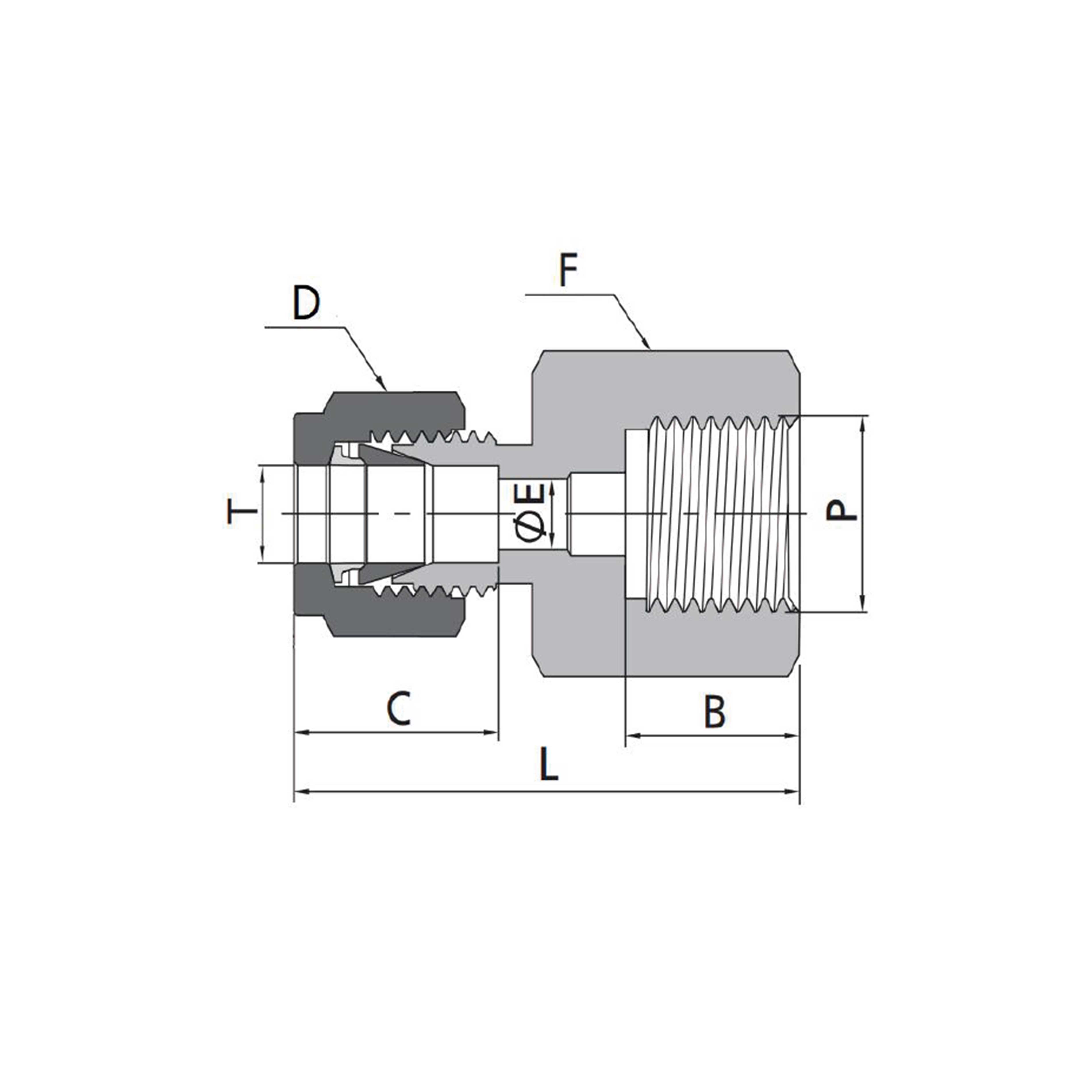 Female Connectors(Fractional Tube to ISO Parallel Thread)