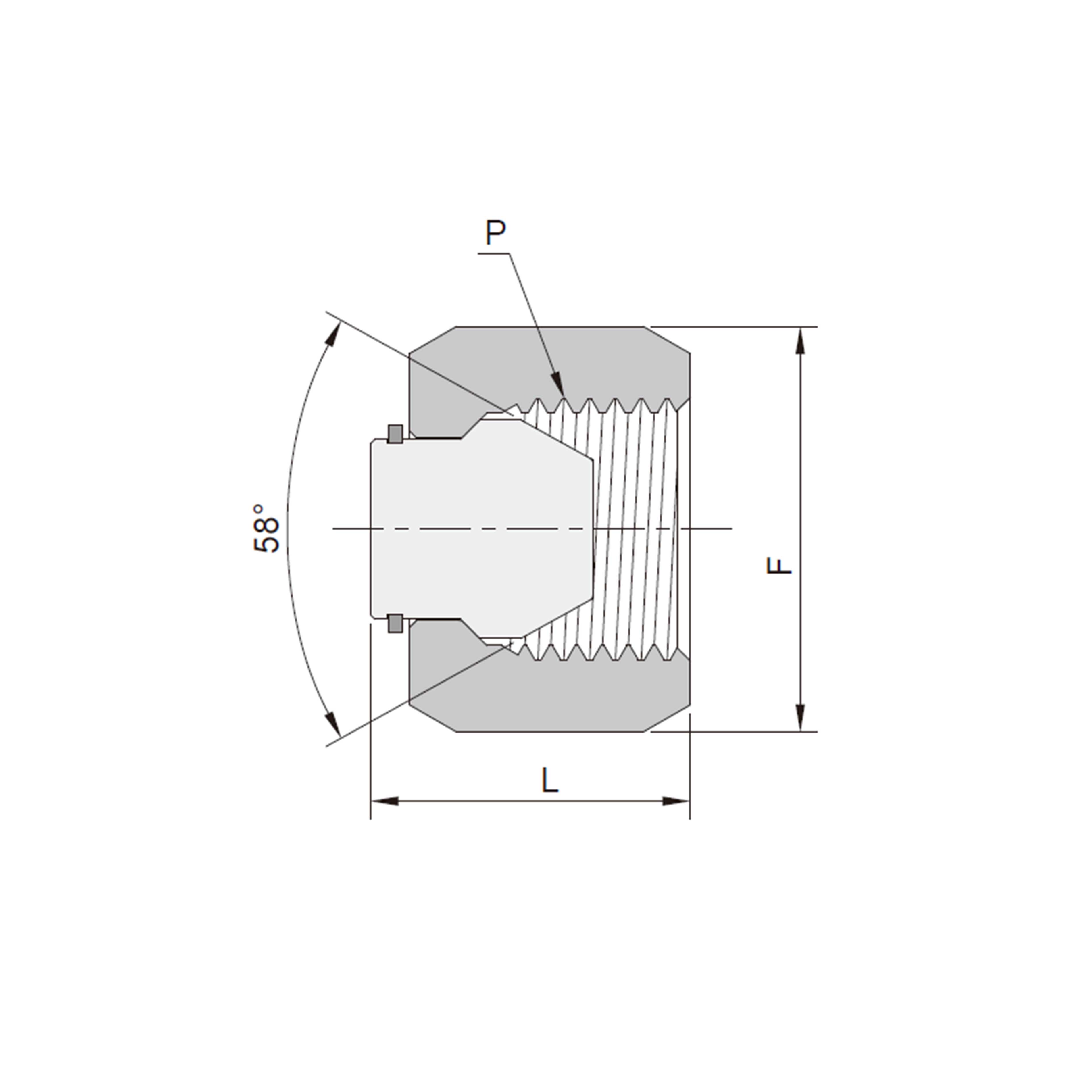 Pipe Caps（Moveable Insert Female Type 
