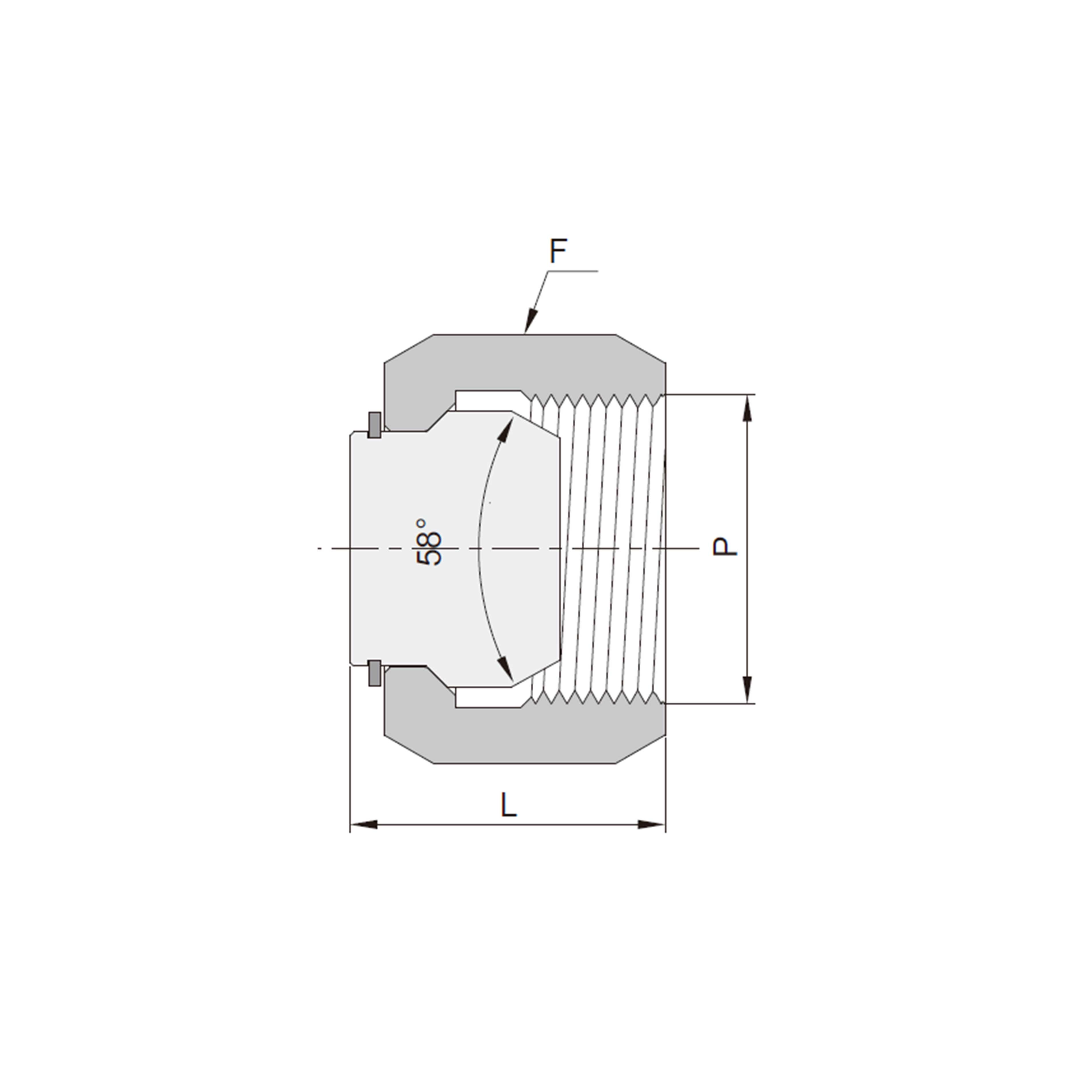 Pipe Caps（Movable Insert/Female ISO Parallel Threads）