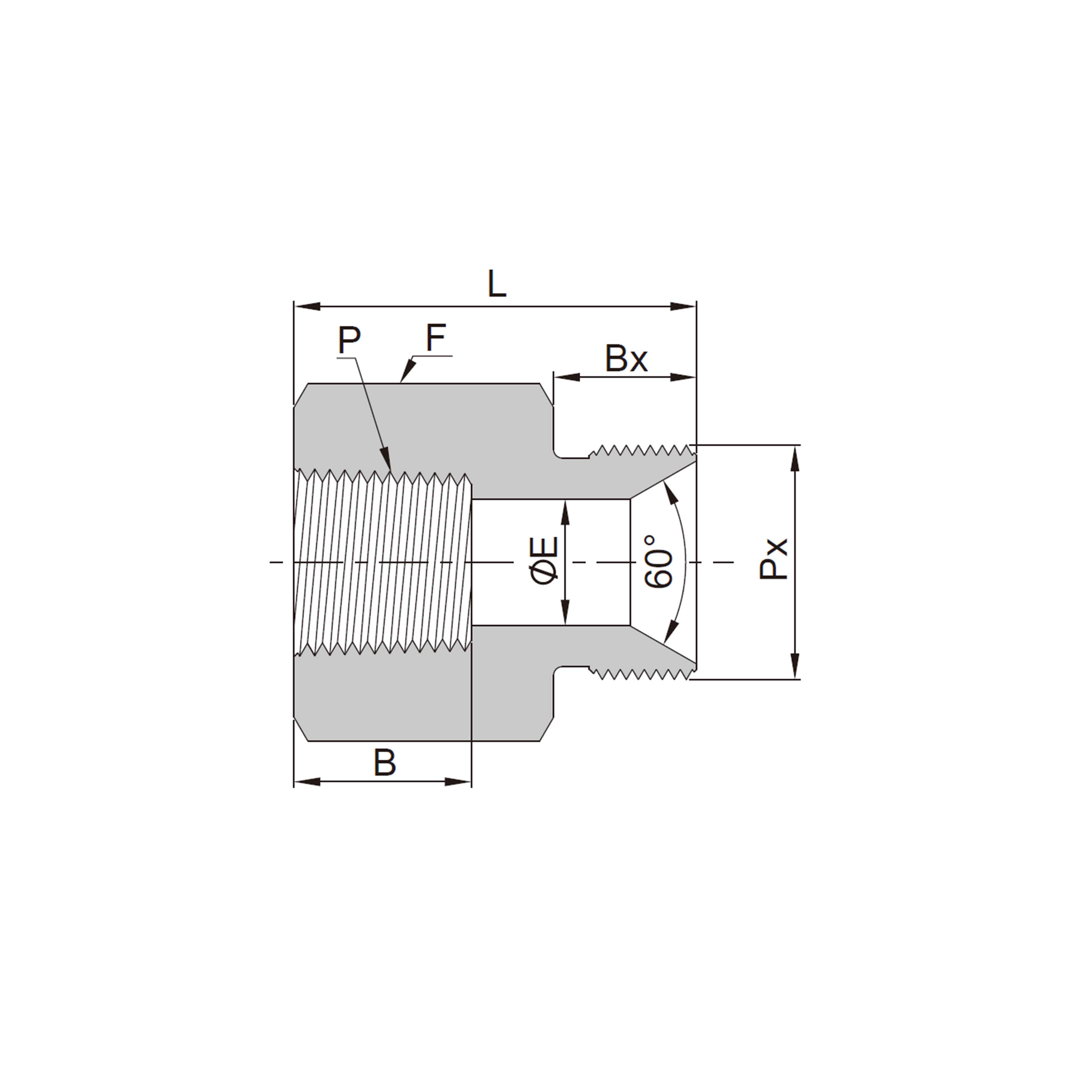 Adapters(Female NPT Threads to Male ISO Parallel Threads)