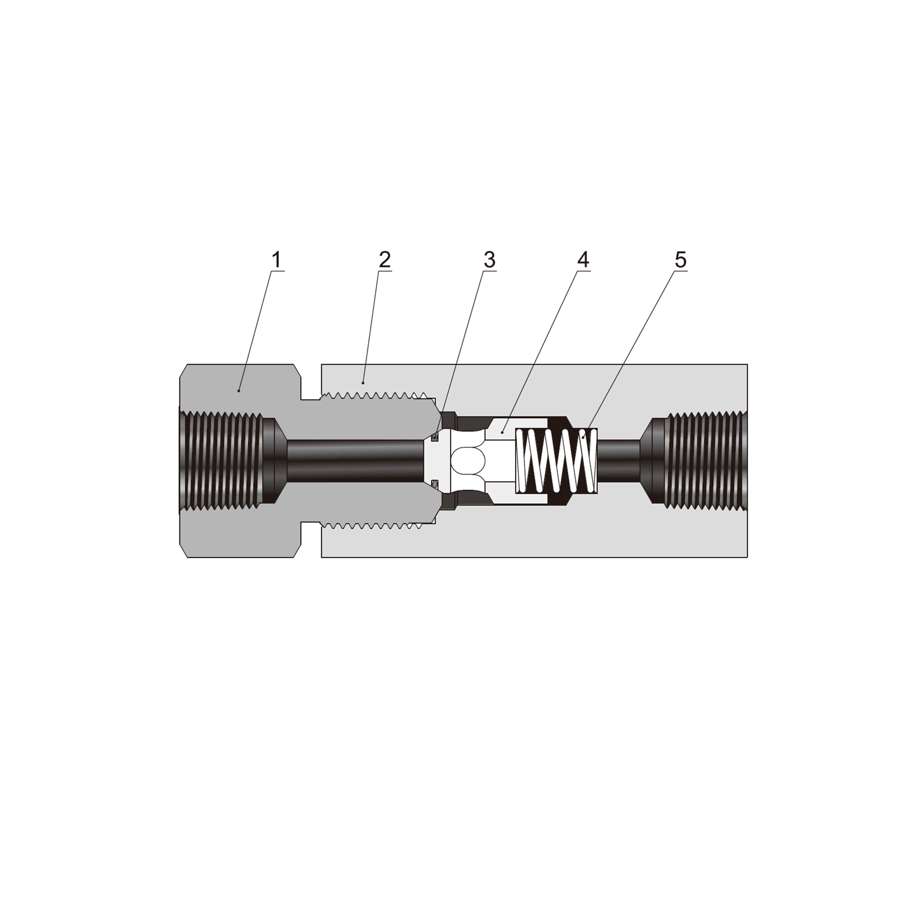 Pipe O-Ring Check Valves