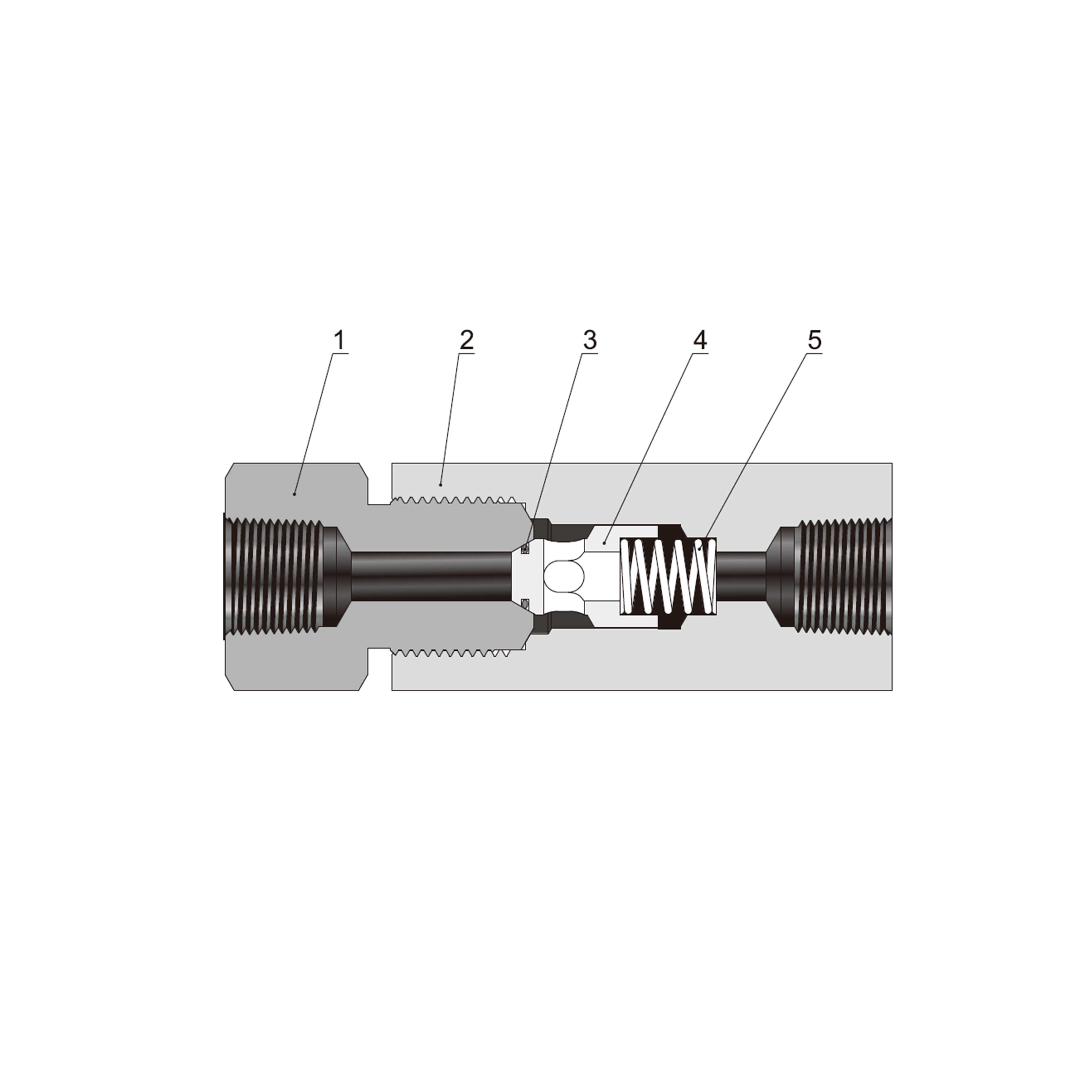 Pipe O-Ring Check Valves