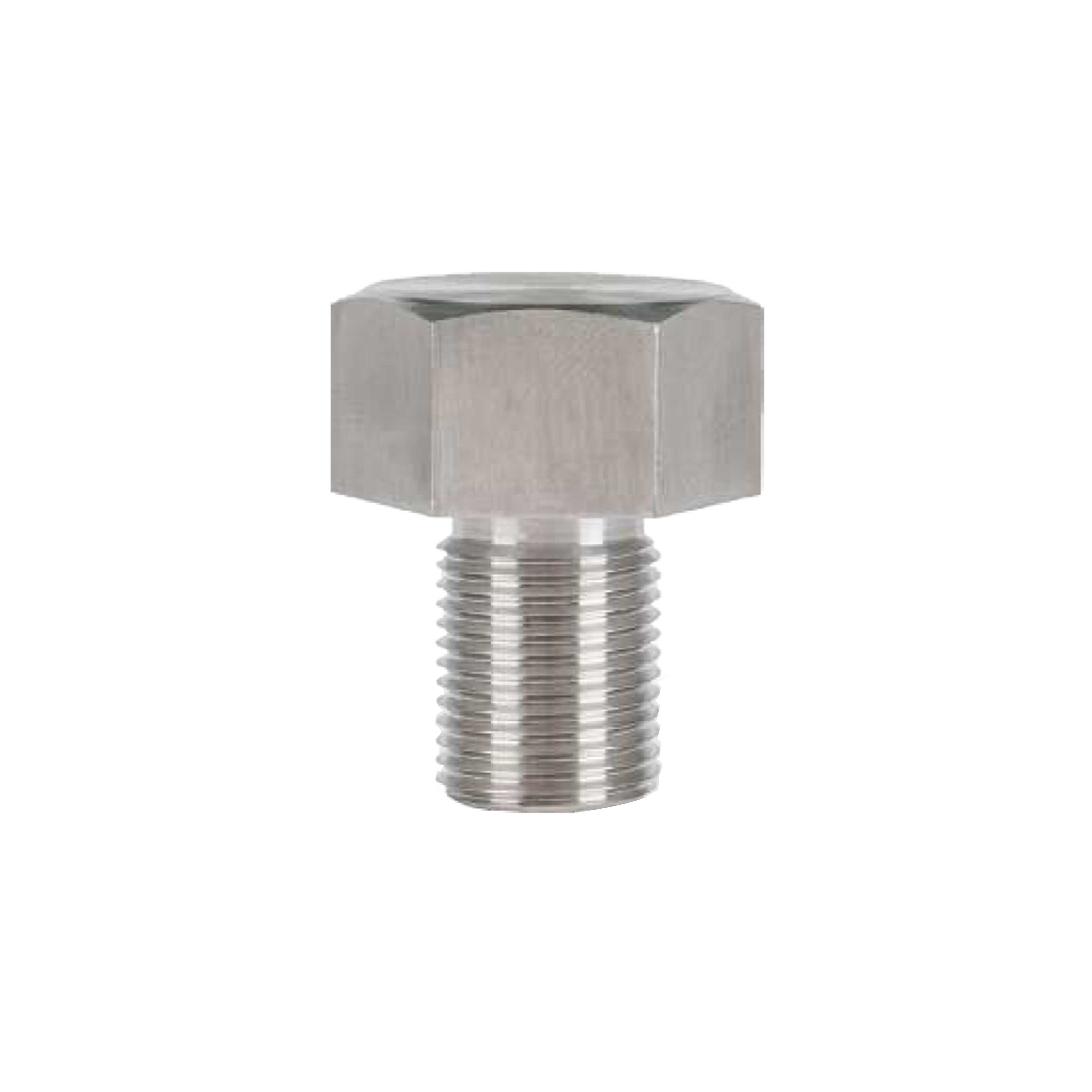 Cavity Plug GAS