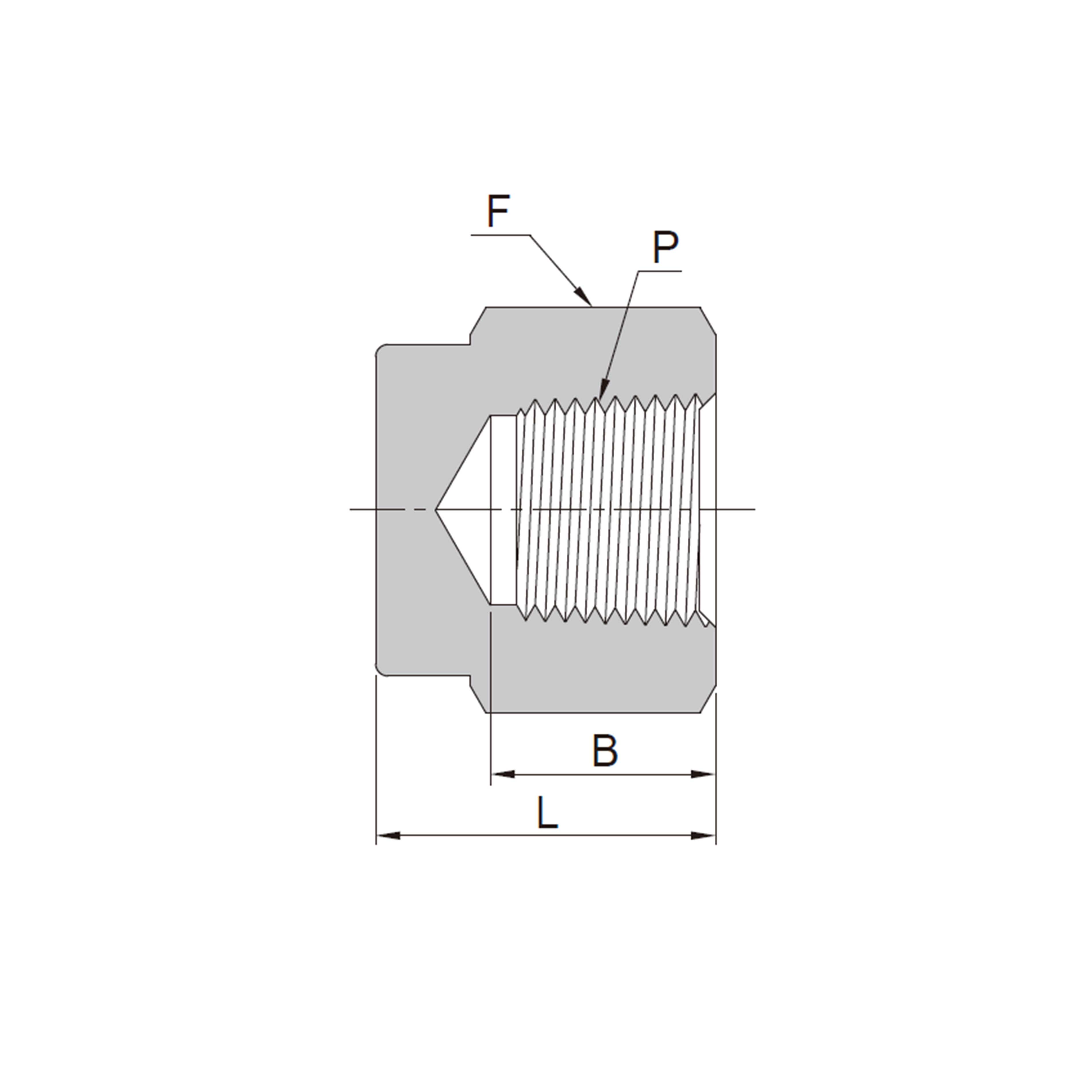 Tapa Hembra (NPT / ISO Cónica)