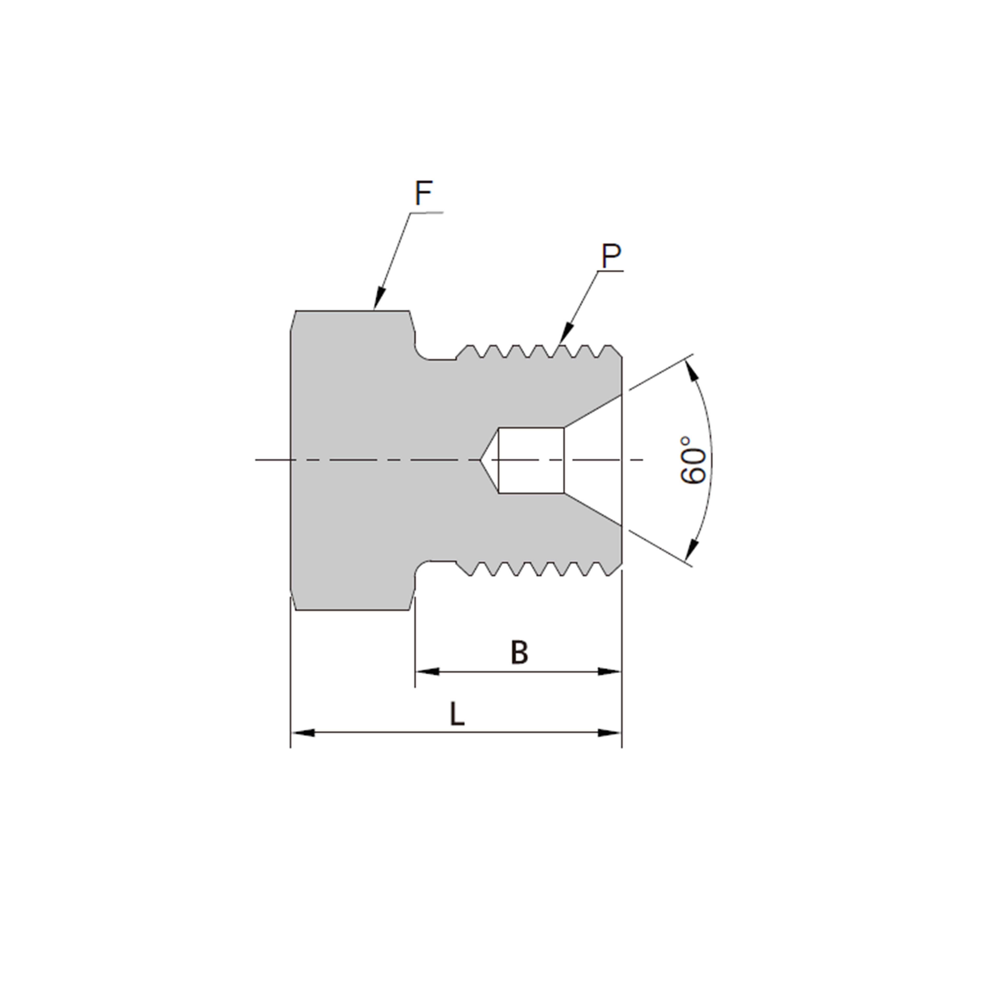 Tapón Macho (60° Cónico Interno)