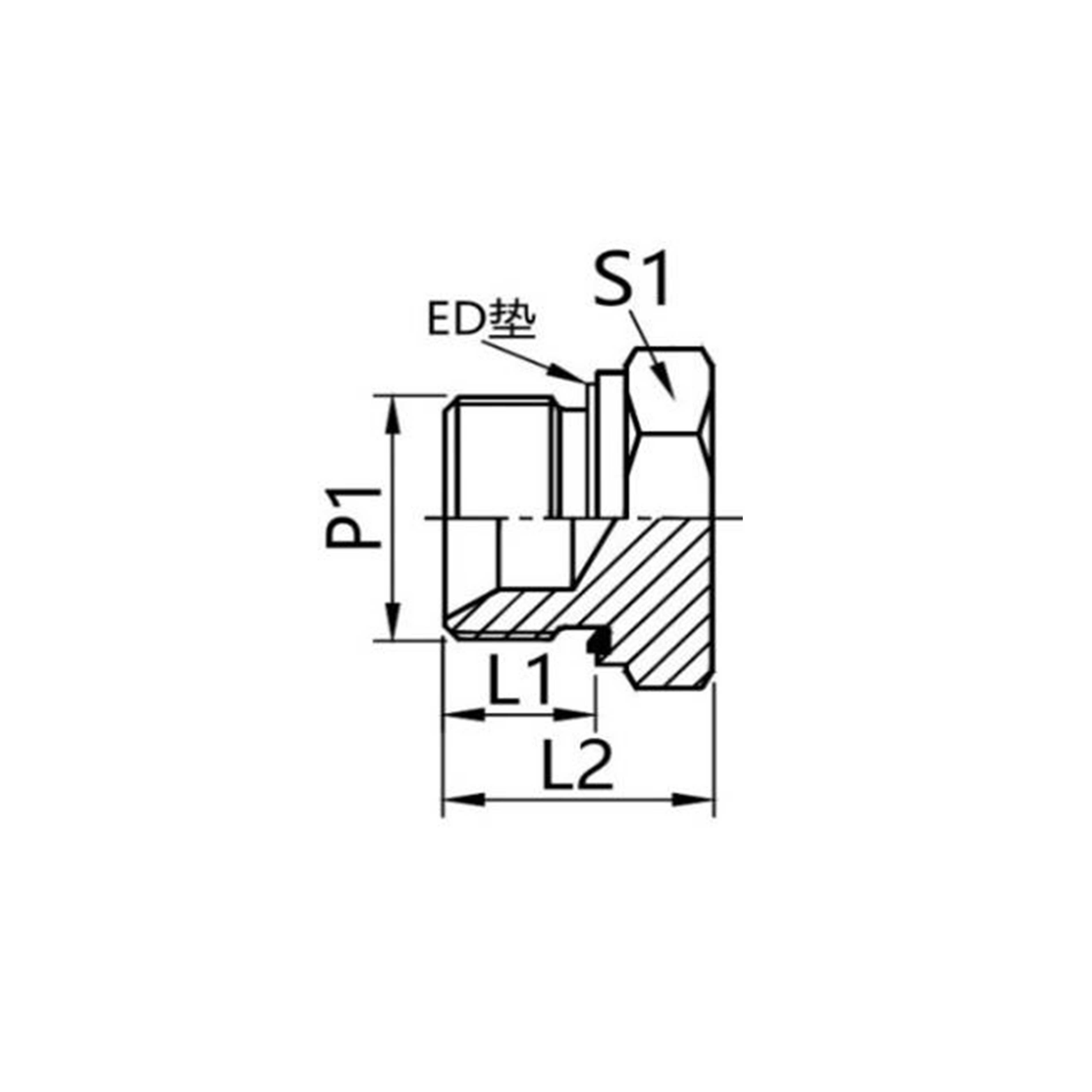 4B-WD 英管外螺纹ED垫密封堵头
