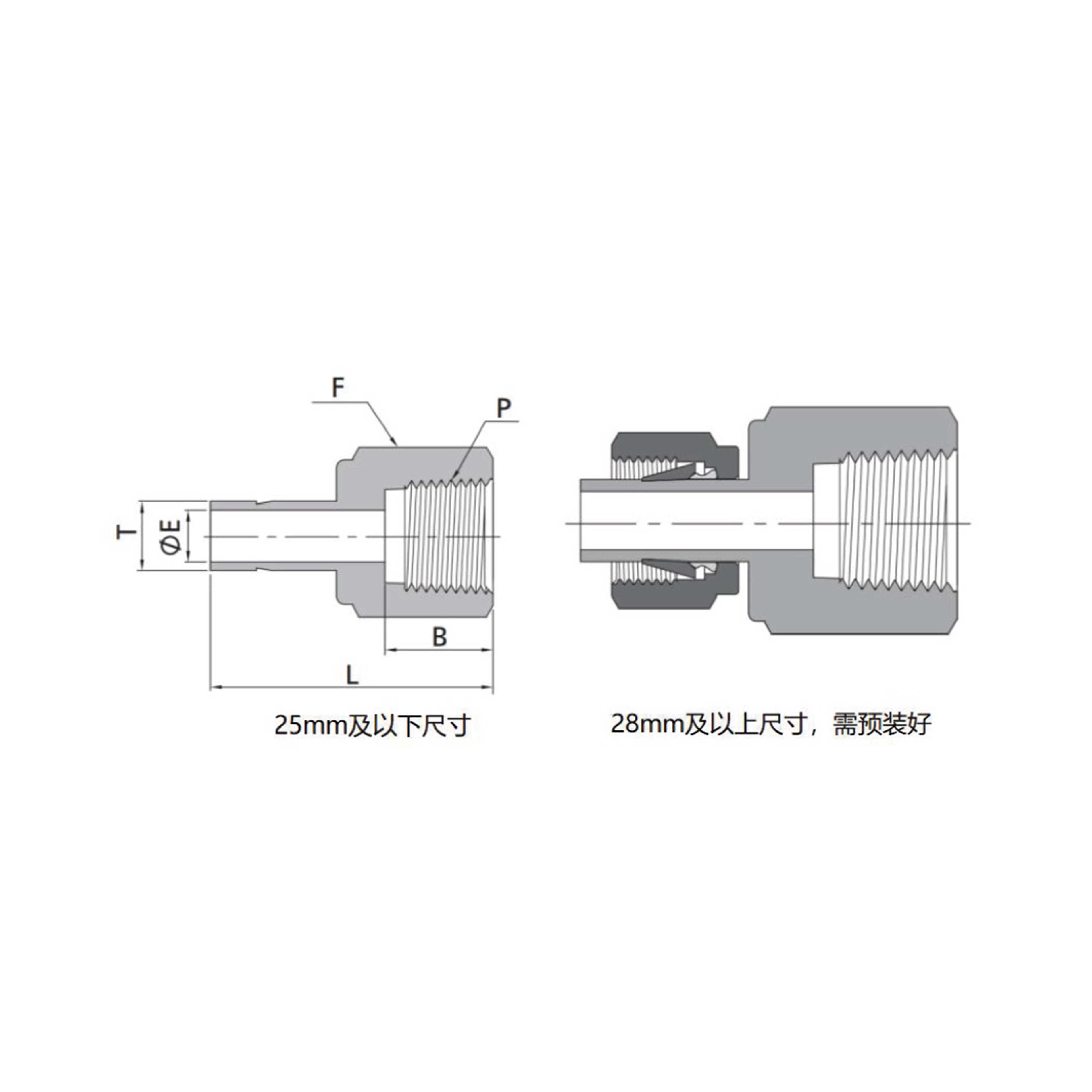 内螺纹卡套管转换接头(公制-NPT/RT内螺纹)