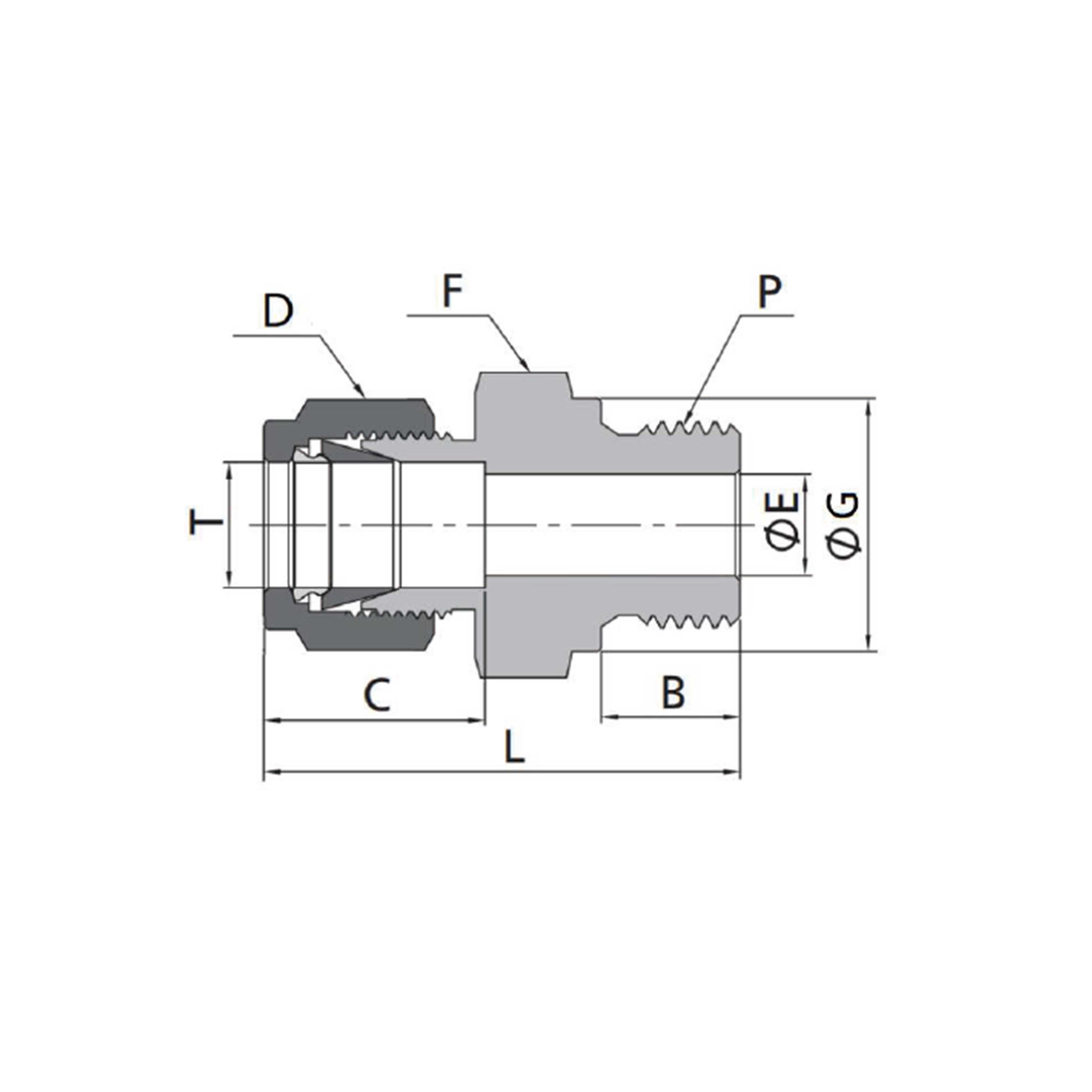 Male Connectors(Metric Tube to Metric Thread)