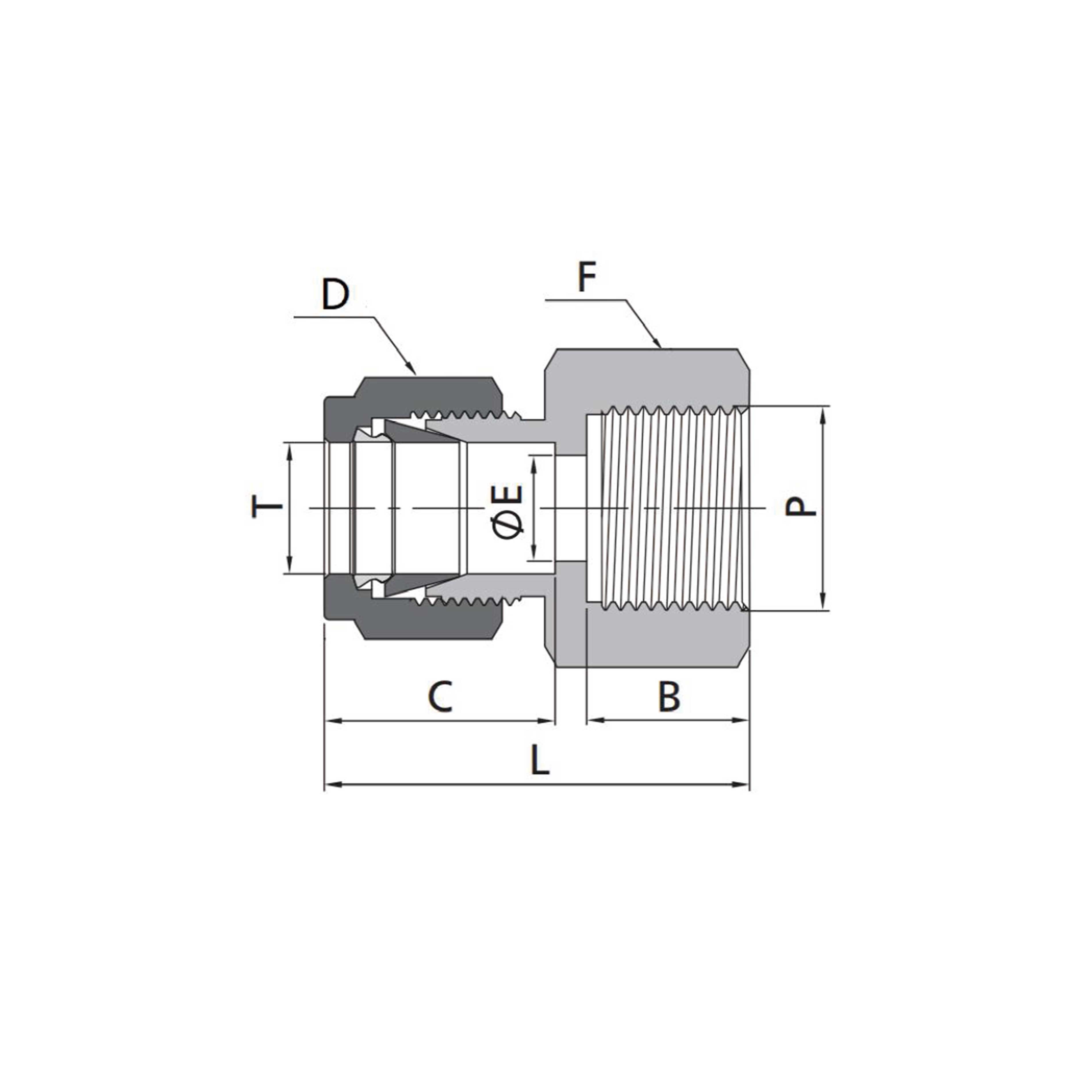 Female Connectors(Metric Tube to Metric Thread)
