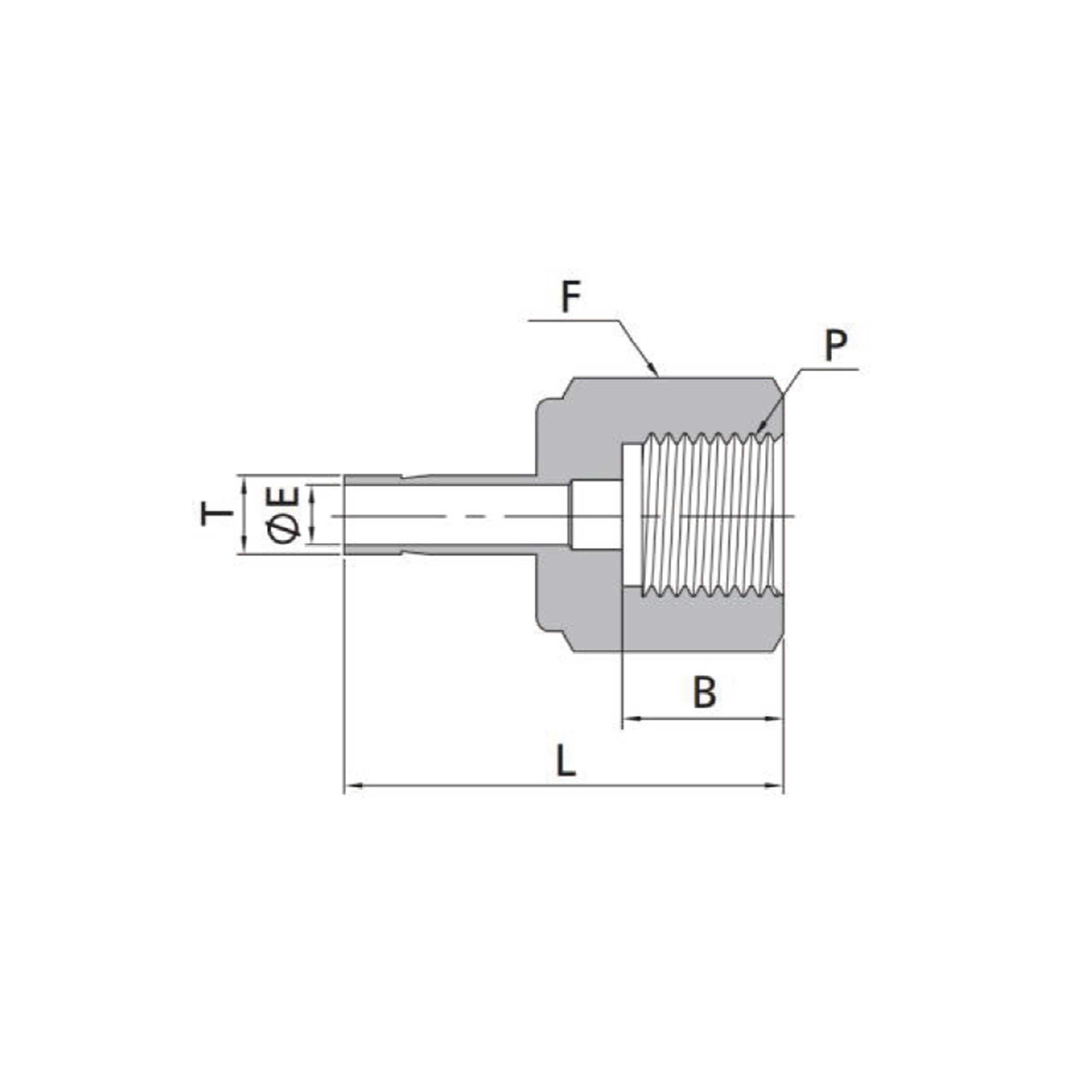Female Adapters(Metric Tube to ISO Parallel Thread)