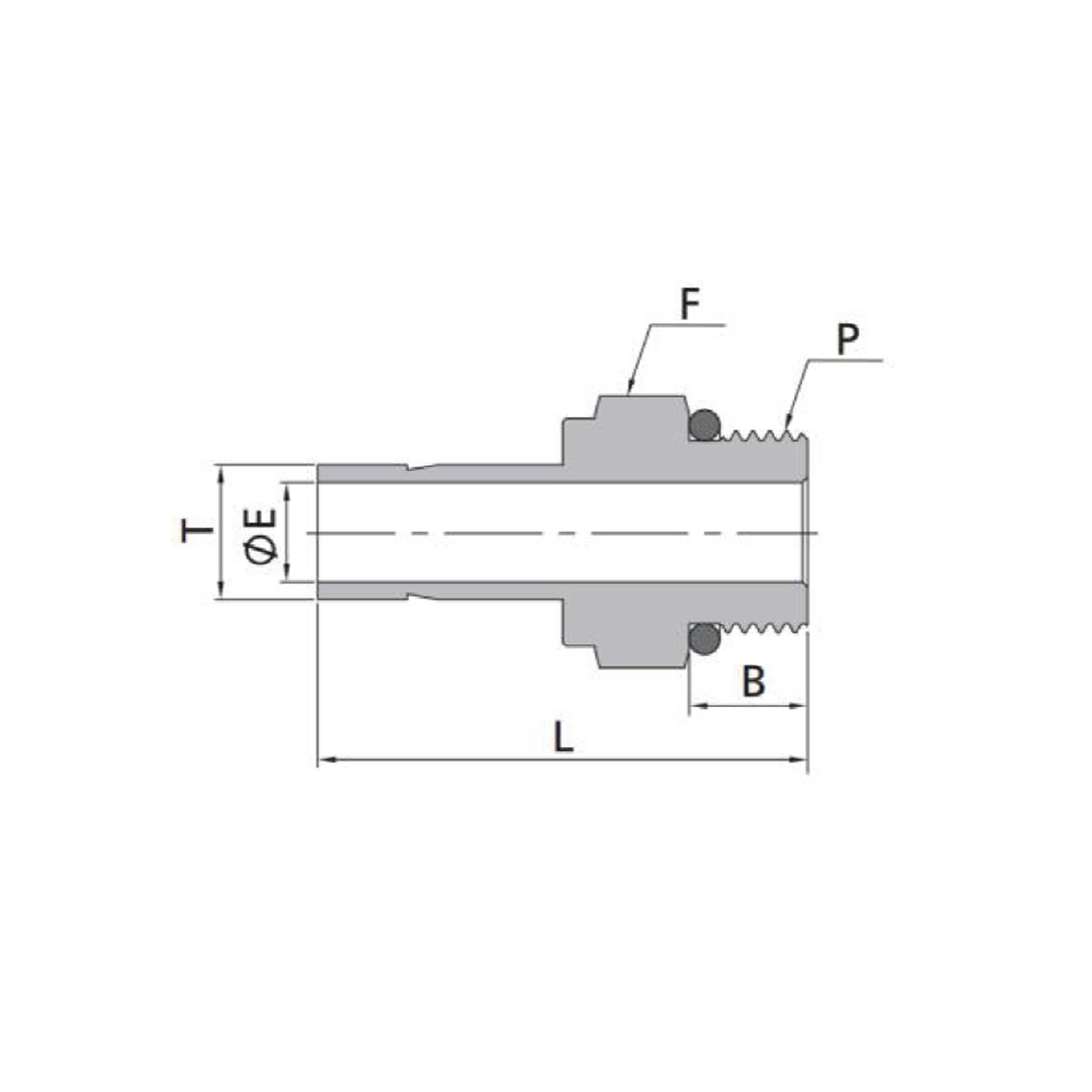 Male Adapters（Fractional Tube to SAE/MS Thread）