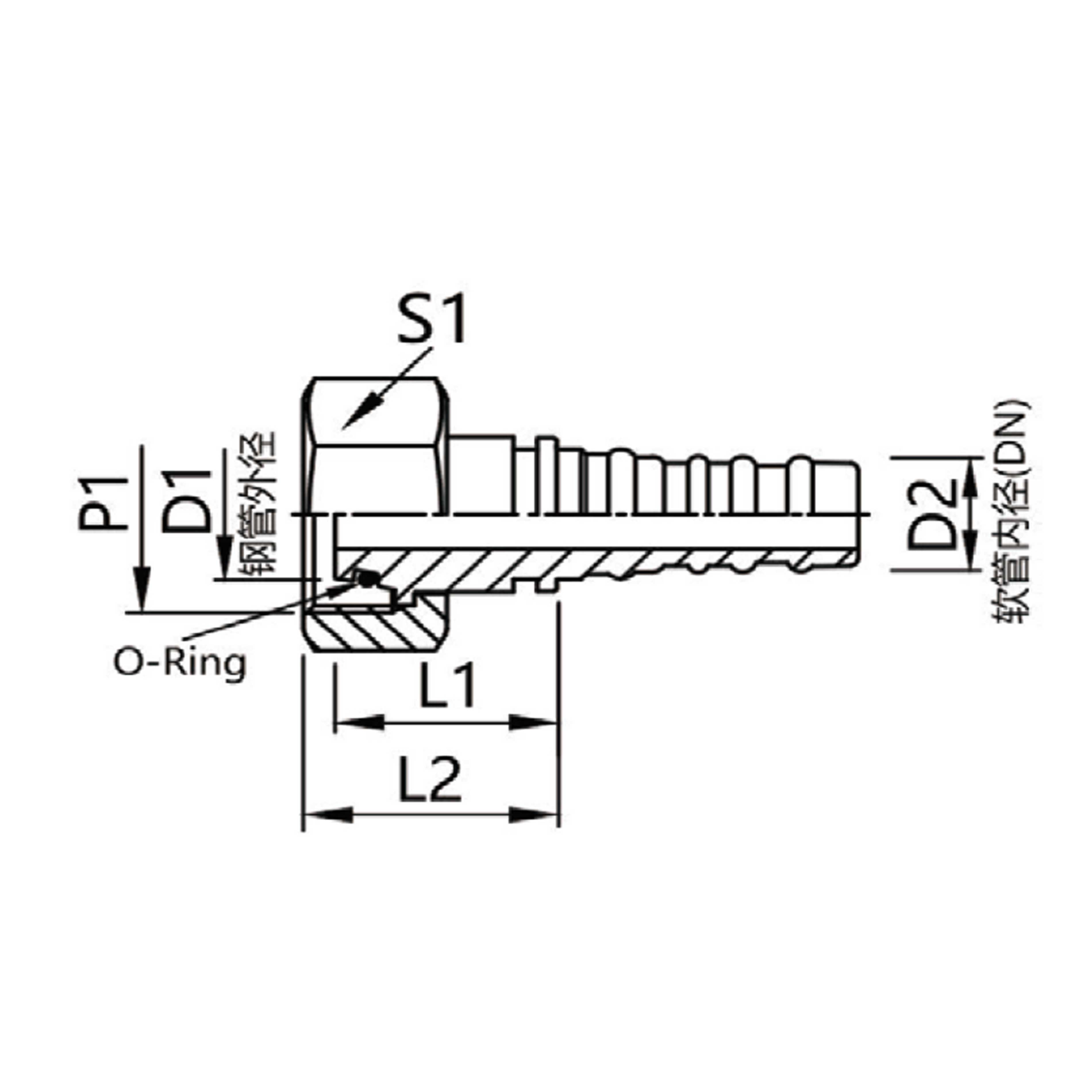 20513  Metric Female Thread 24°cone O-Ring Heavy Duty Series connector