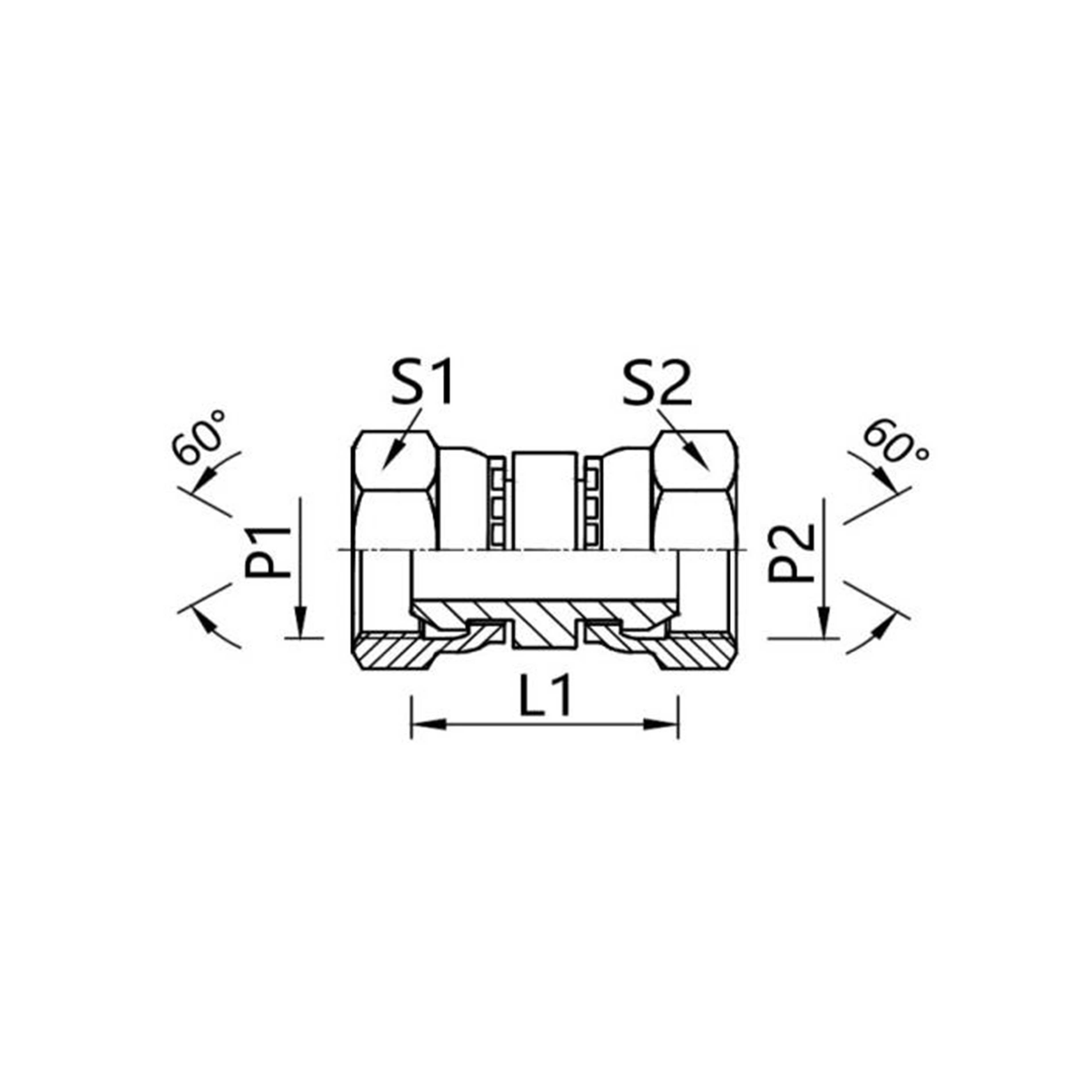 3B — Straight Female BSPP 60° Cone Adapter