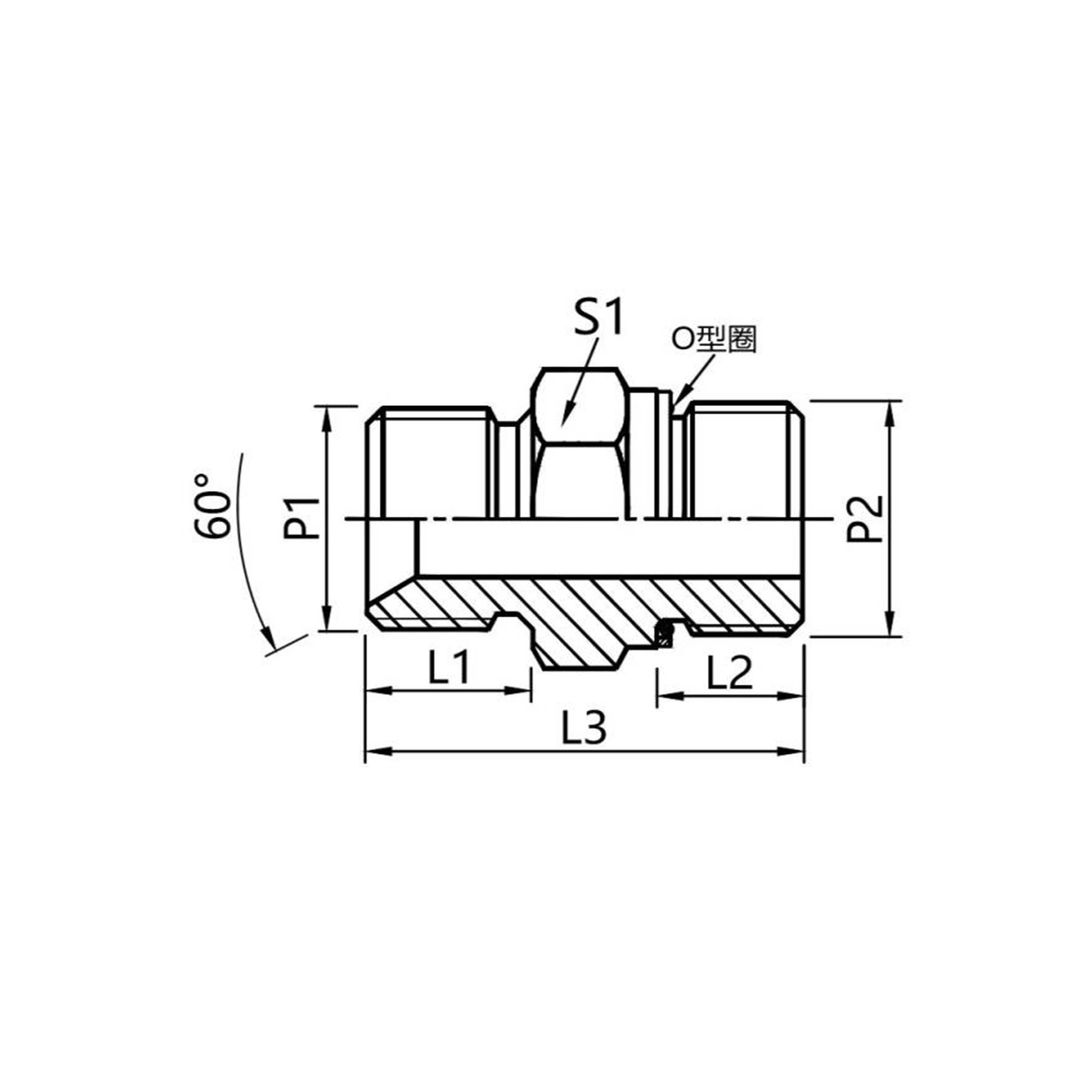 1BG — Straight Male BSPP 60° Cone × Male BSPP Thread with O-Ring Adapter