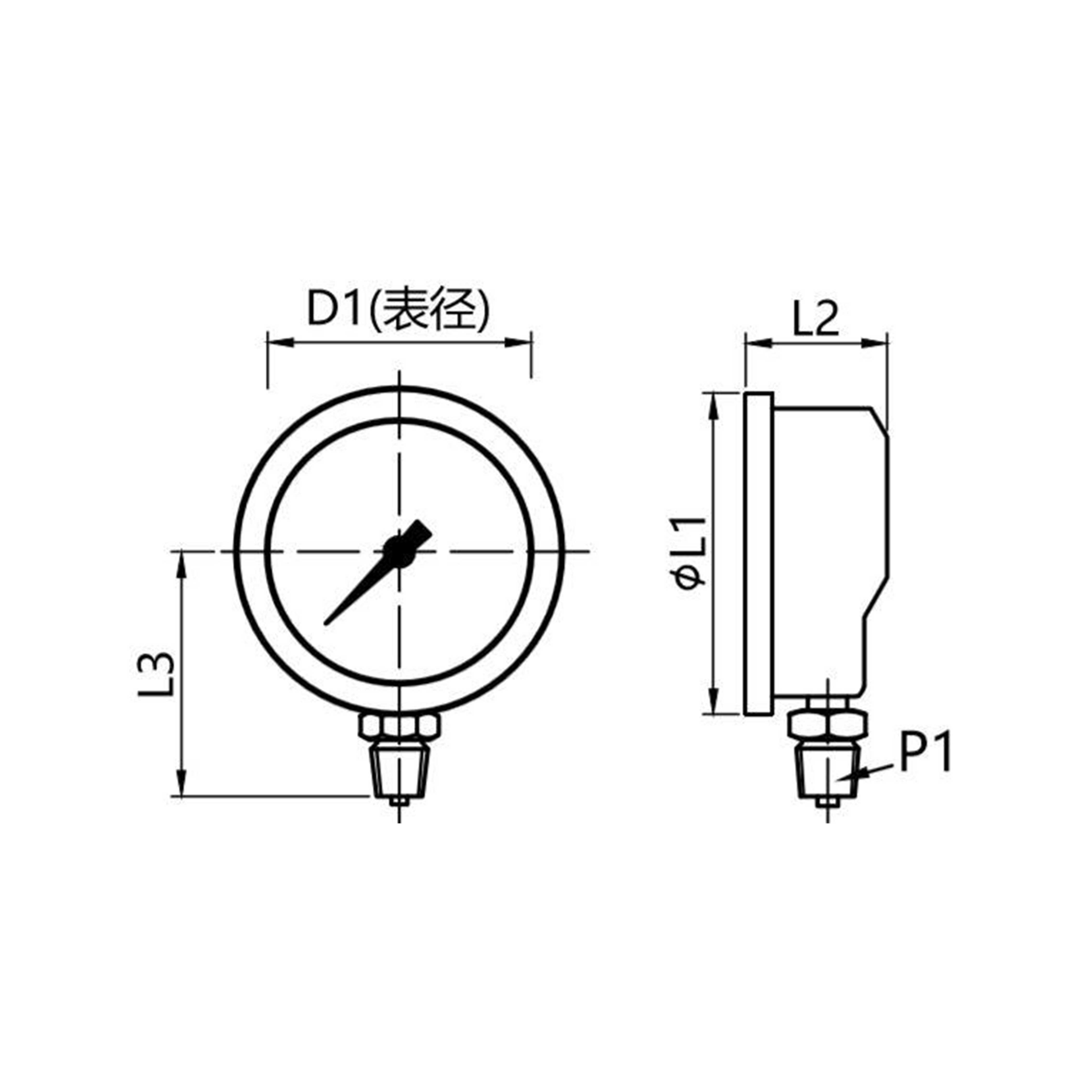 YN-1  Radial Pressure Gauge