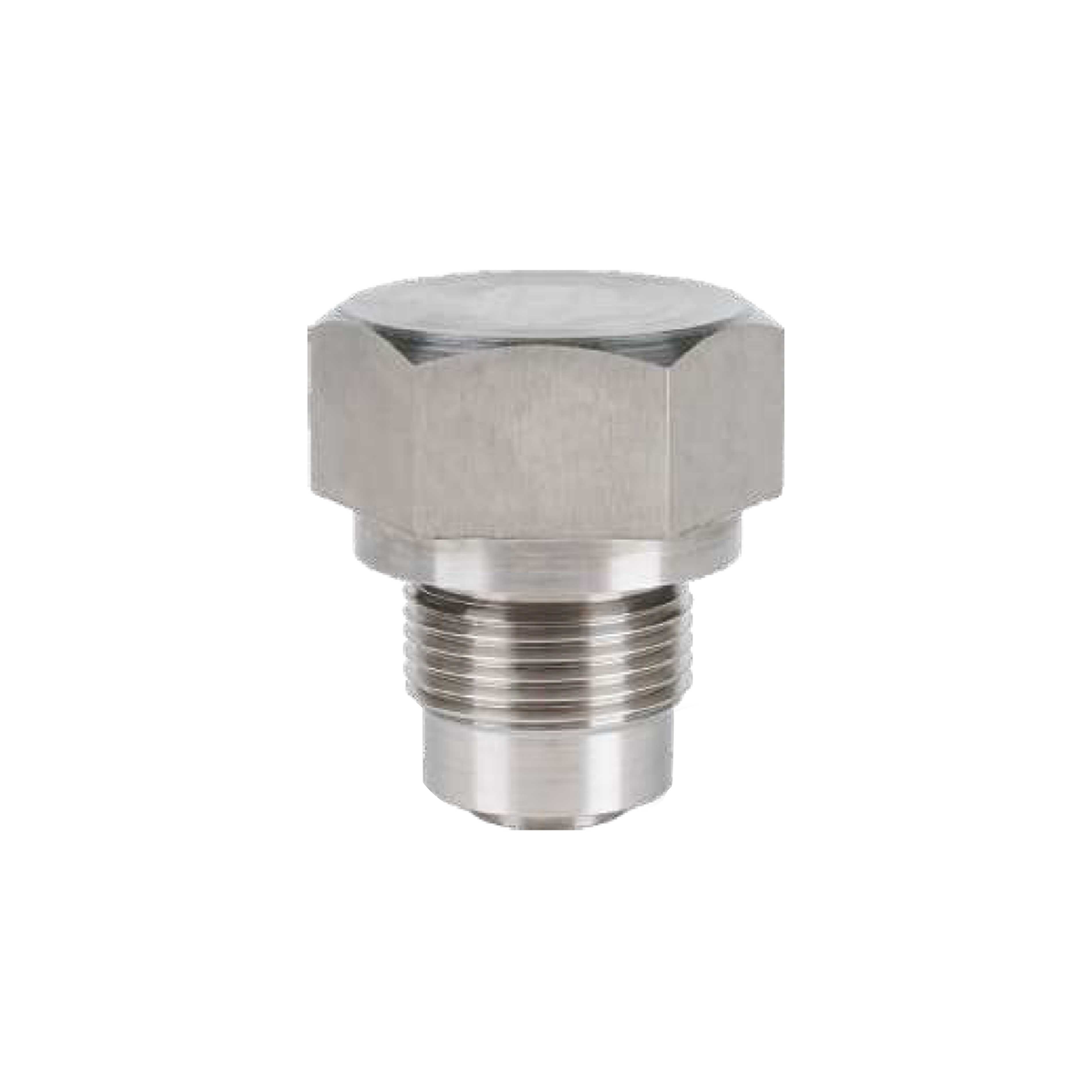 Cavity Plug Gas with O-Ring and Graphoil Il