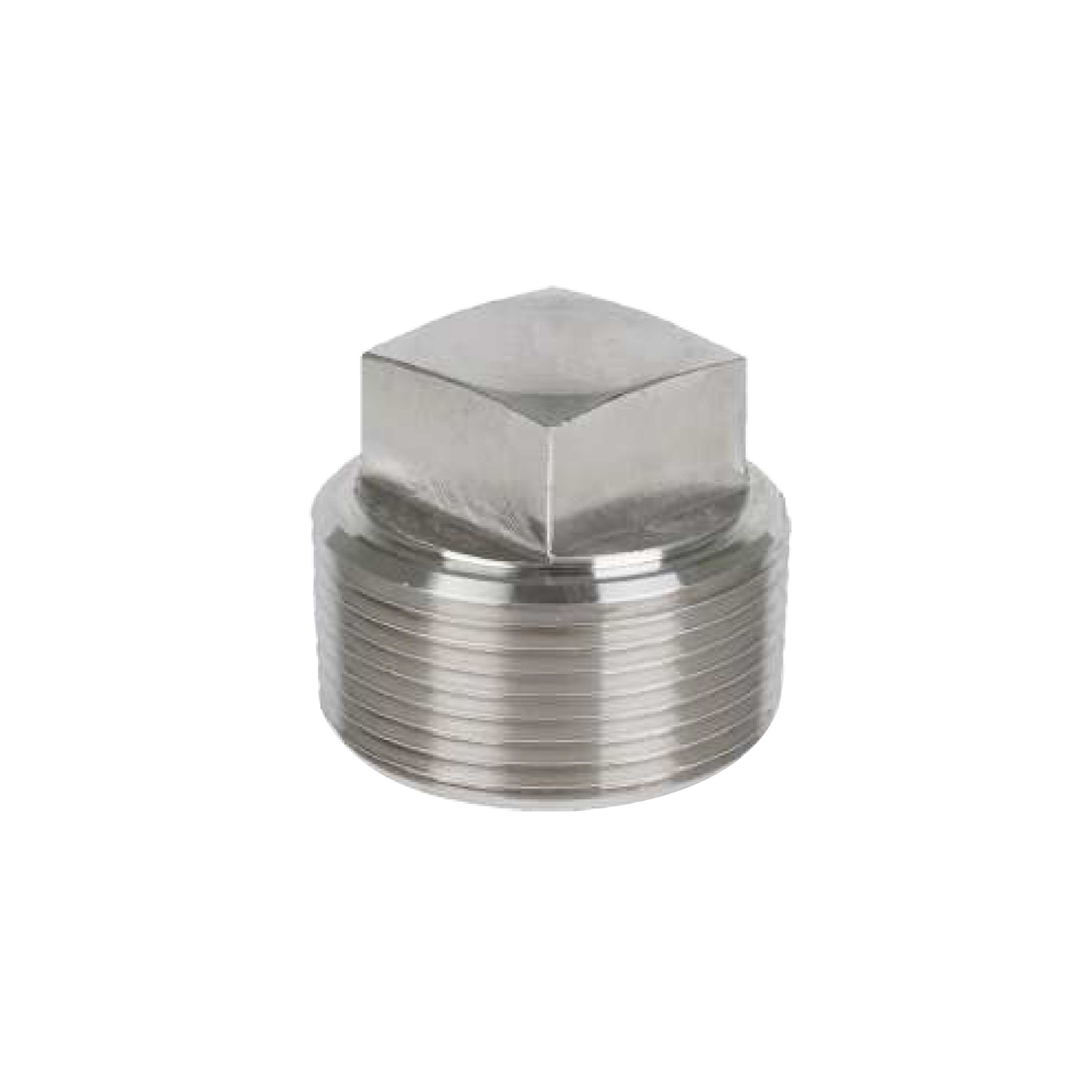 Cavity Plug-Square Head