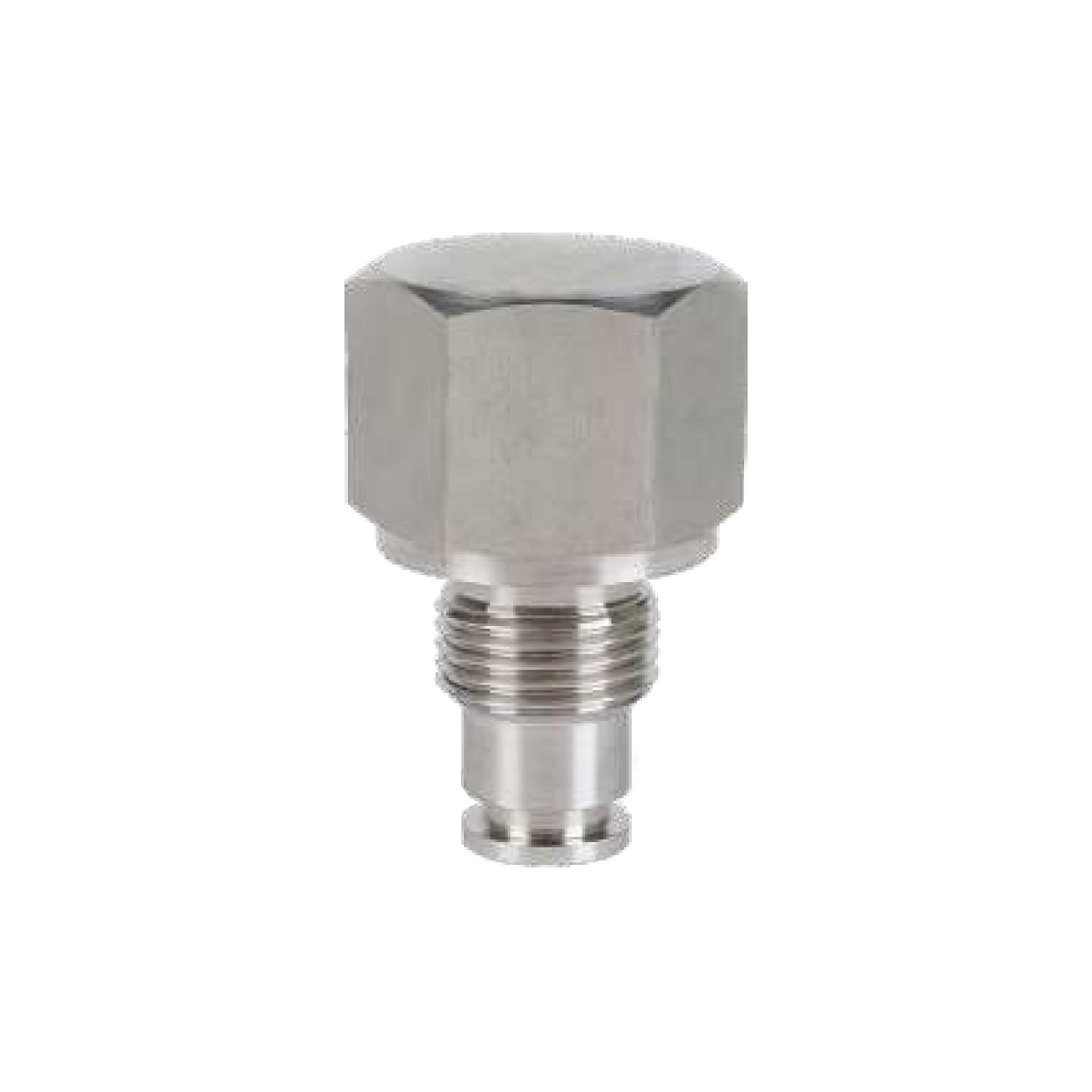 Cavity Plug Gas with O-Ring and Graphoil Ⅰ